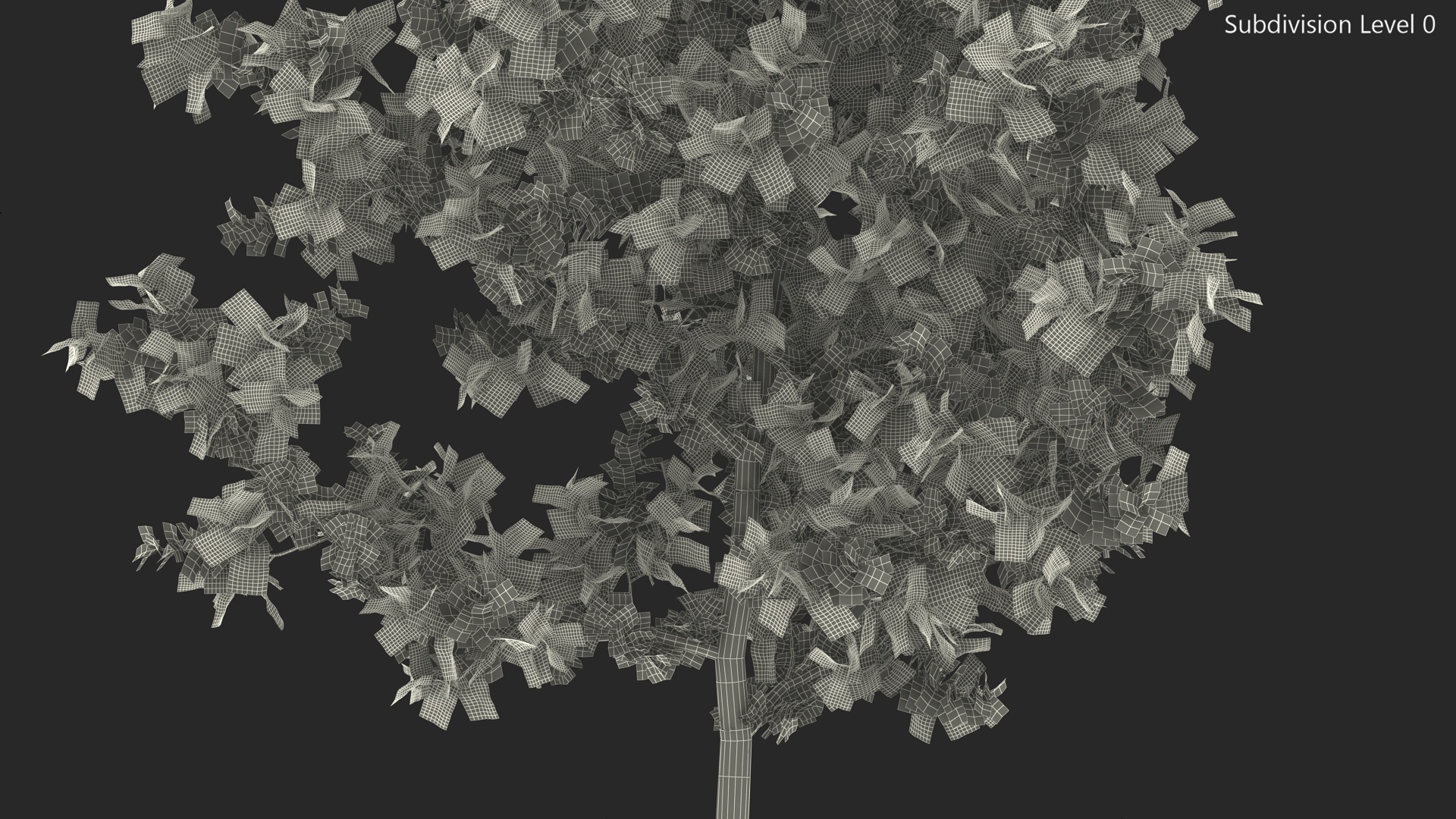 Young White Oak Autumn 3D