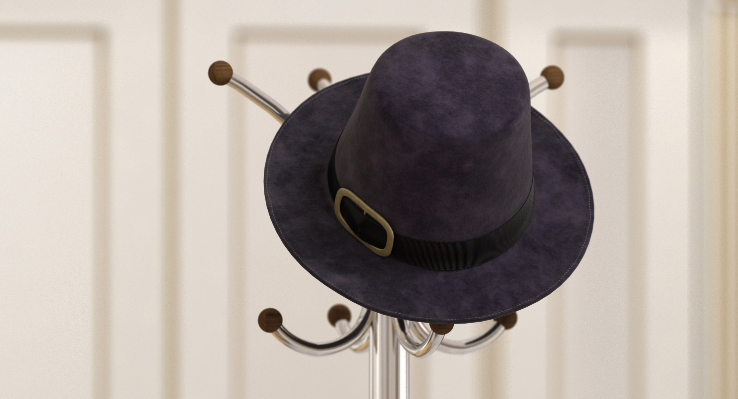 3D Pilgrim Hat