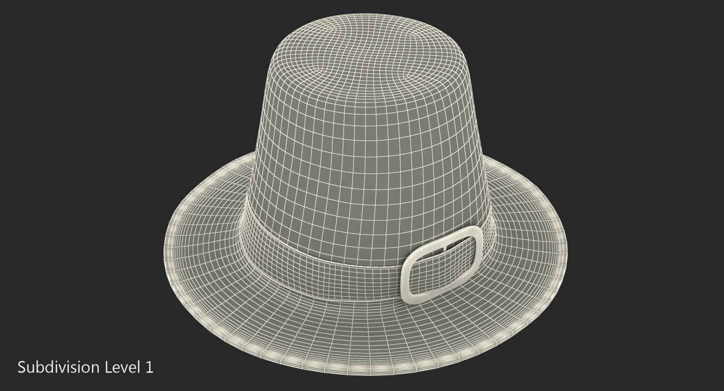 3D Pilgrim Hat