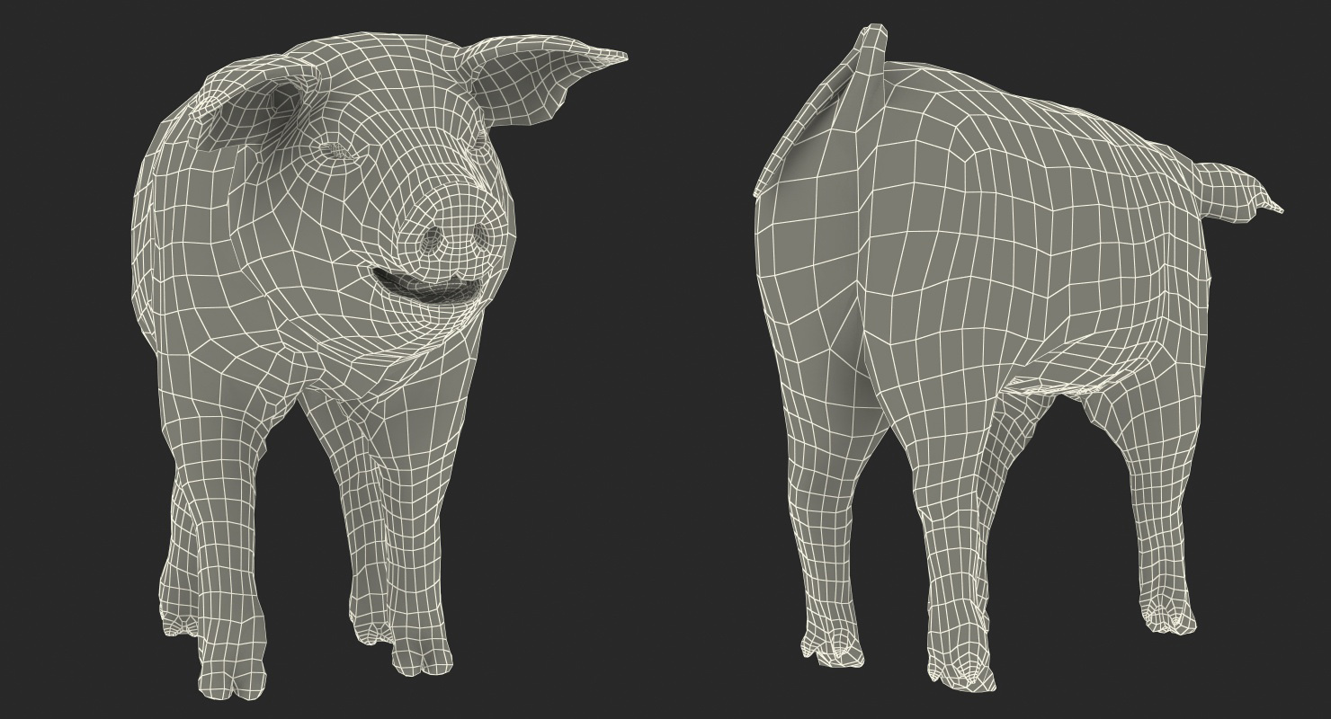 Hampshire Pig Piglet with Fur Walking Pose 3D