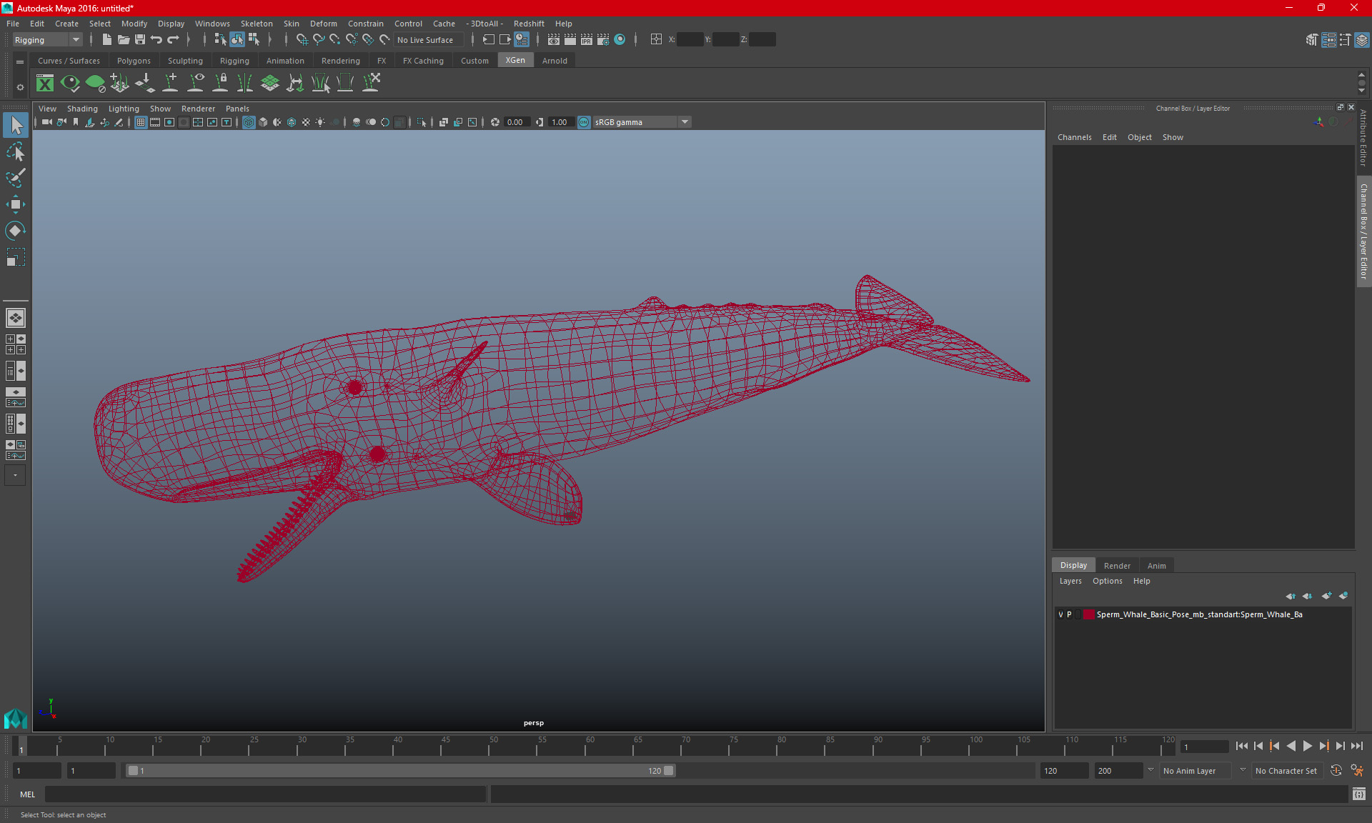 Sperm Whale Basic Pose 3D