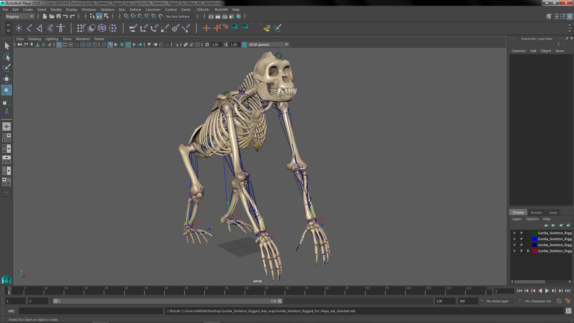 Gorilla Skeleton Rigged for Maya 3D