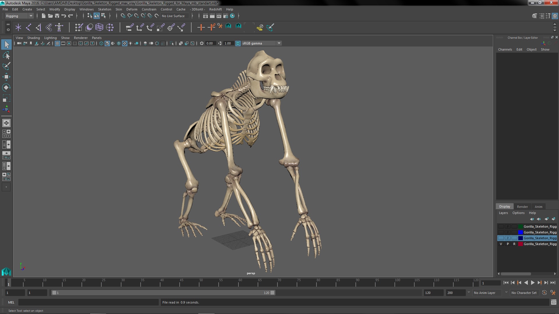 Gorilla Skeleton Rigged for Maya 3D