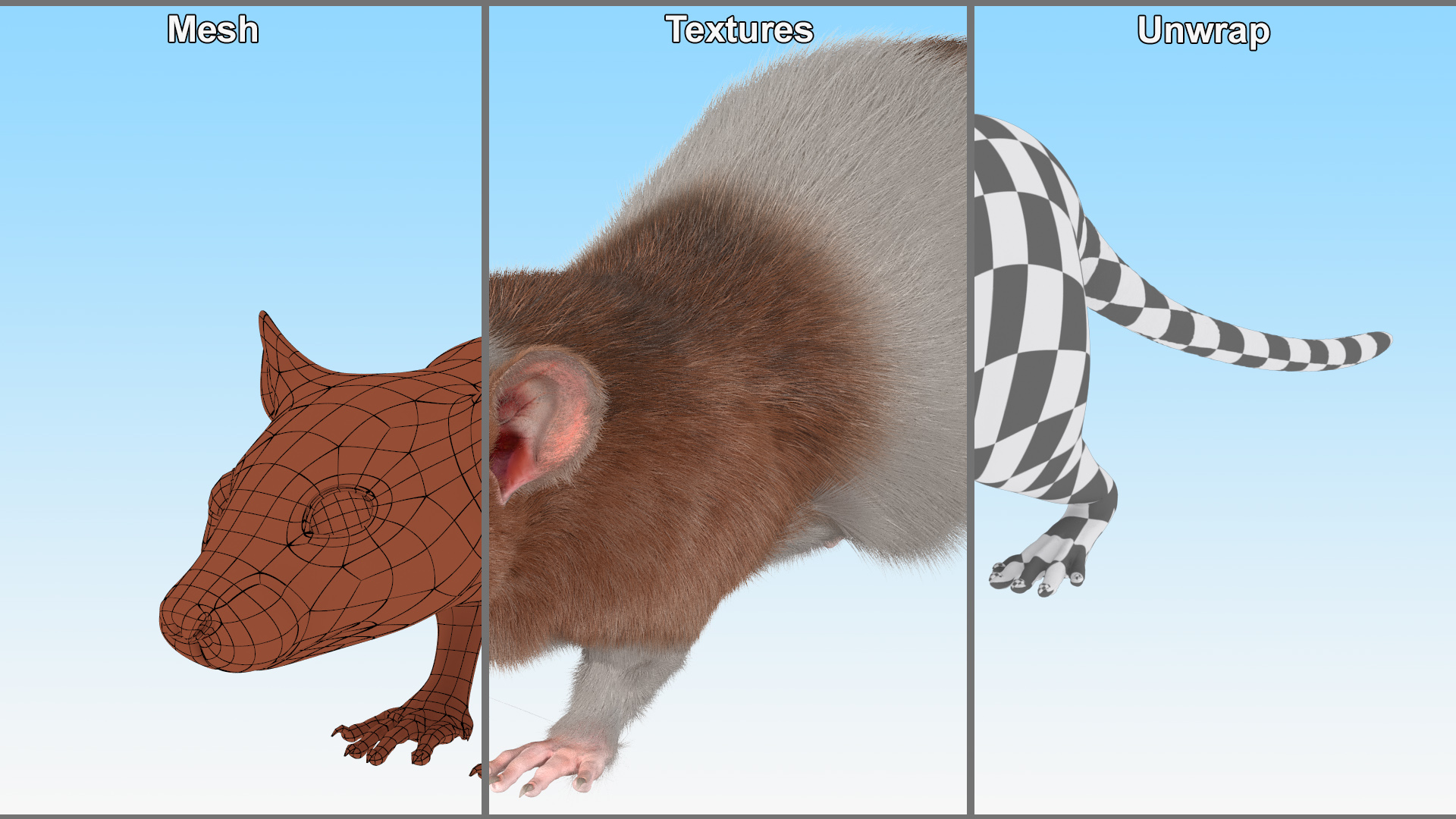 3D Standart Rat Fur