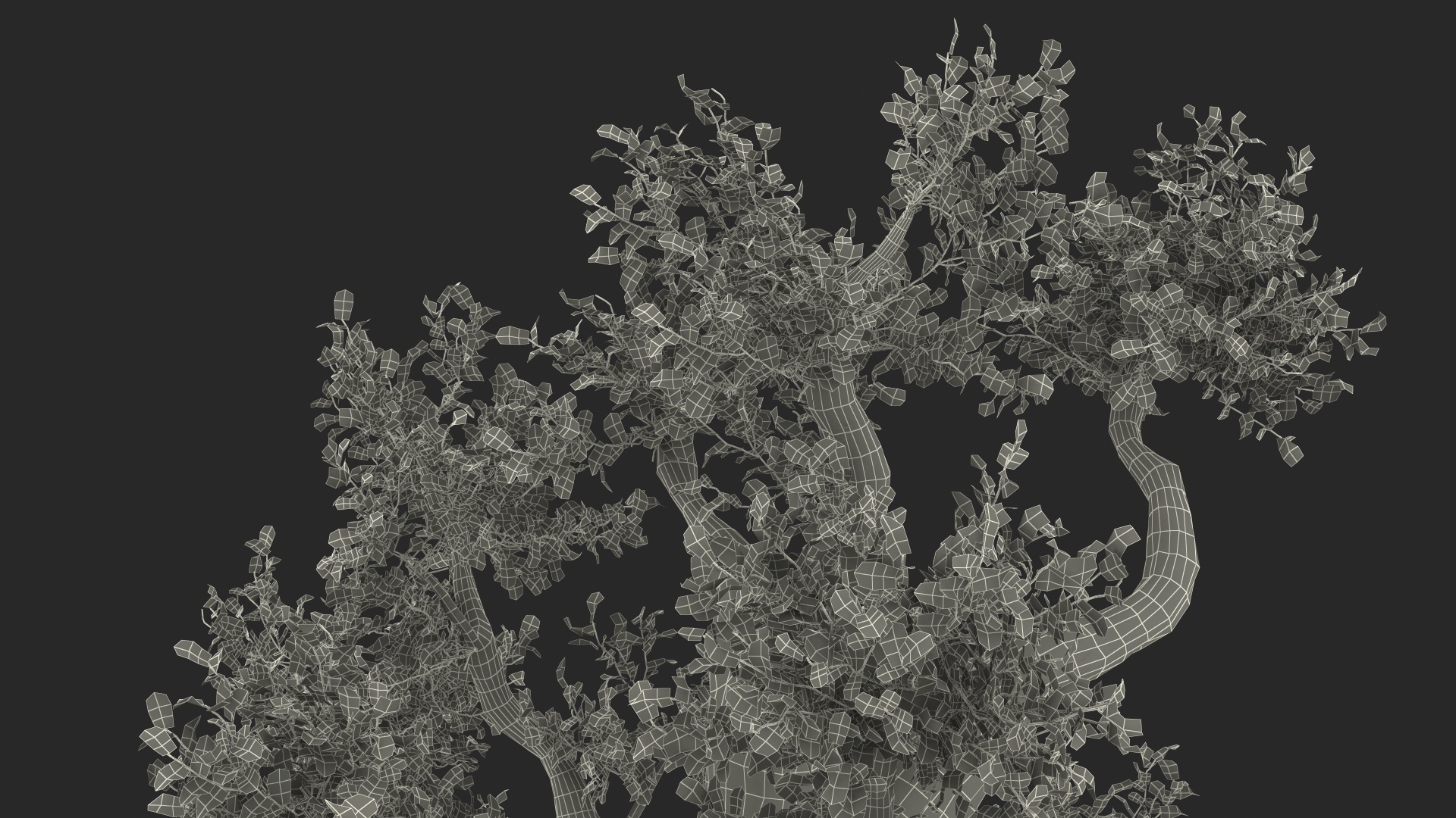 Old Twisted Oak Tree with Leaves 3D