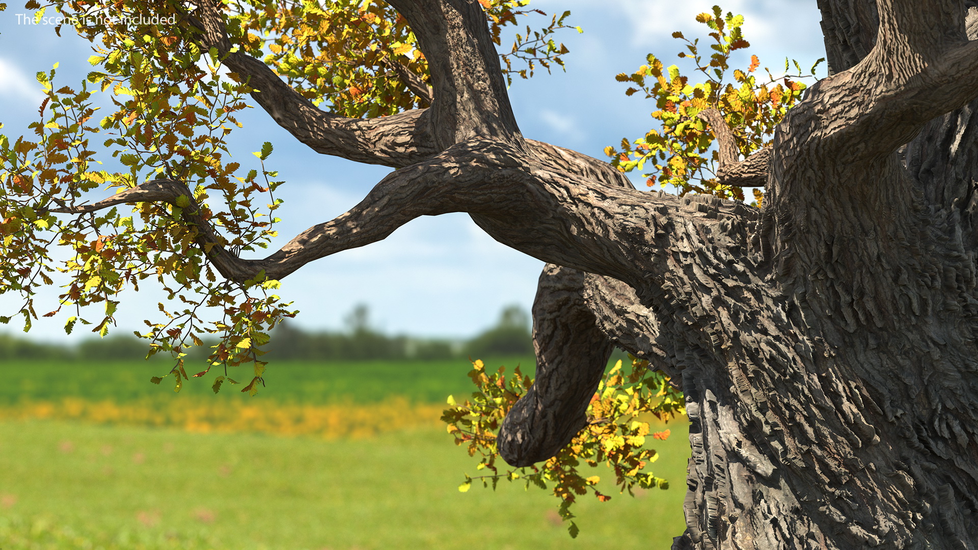 Old Twisted Oak Tree with Leaves 3D