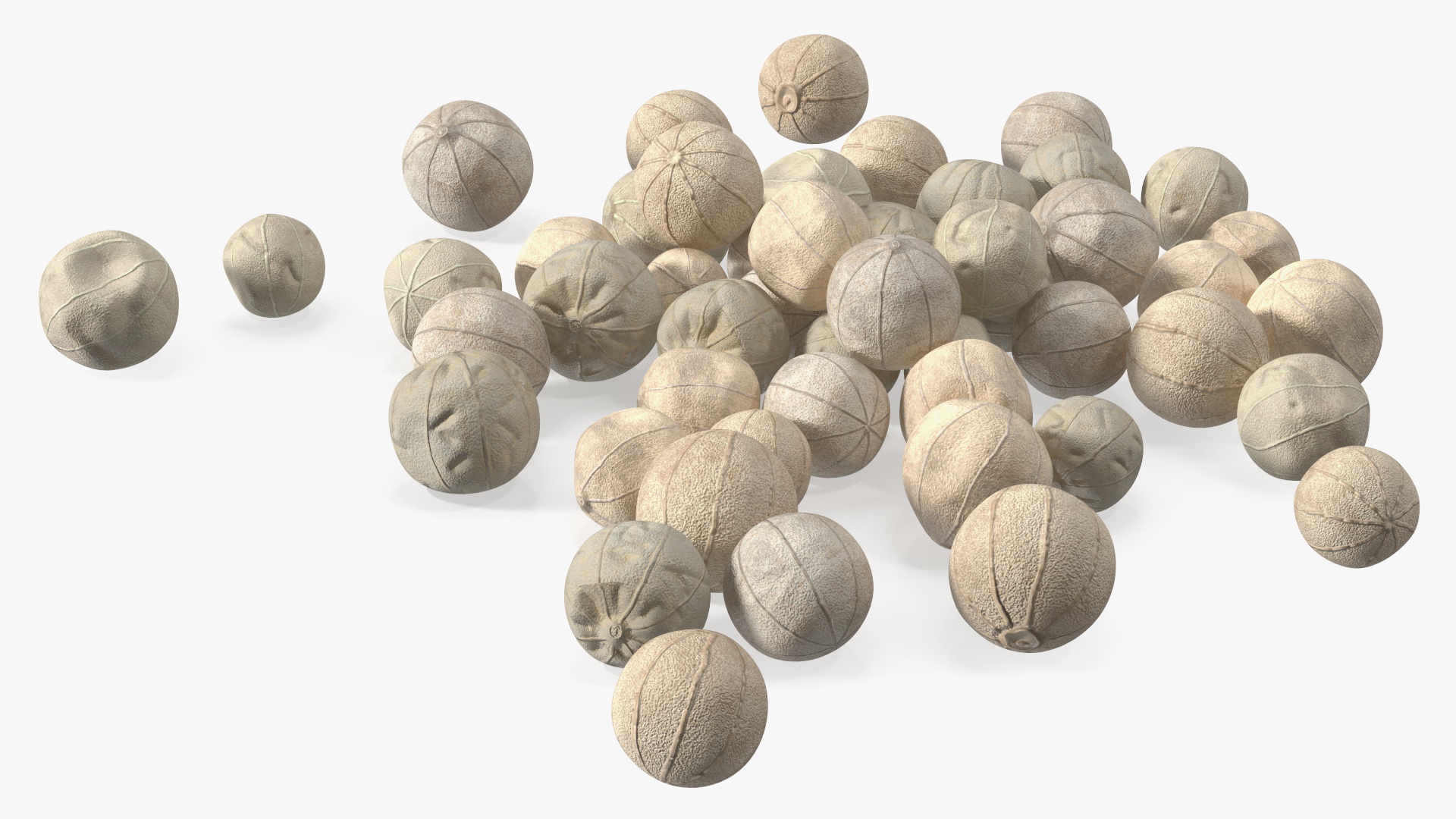 Dried White Peppercorn 3D