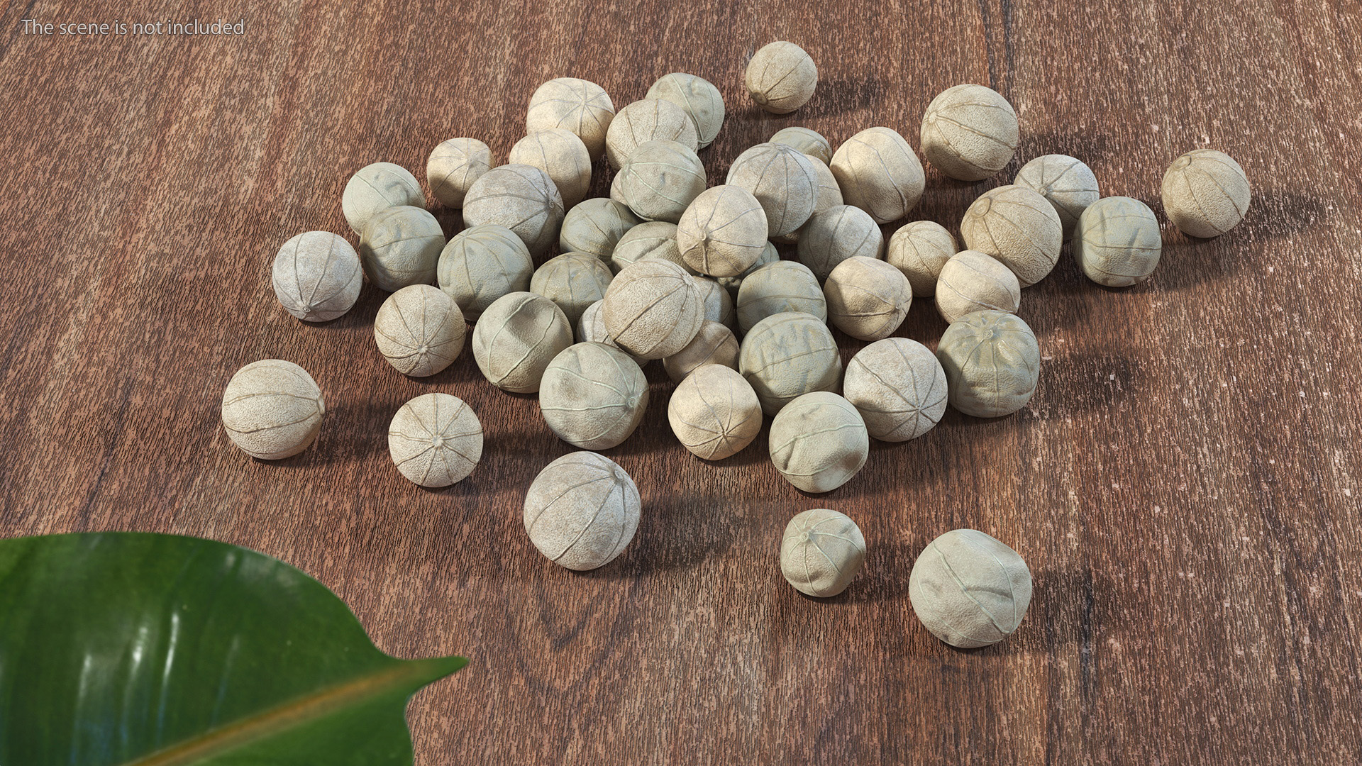 Dried White Peppercorn 3D