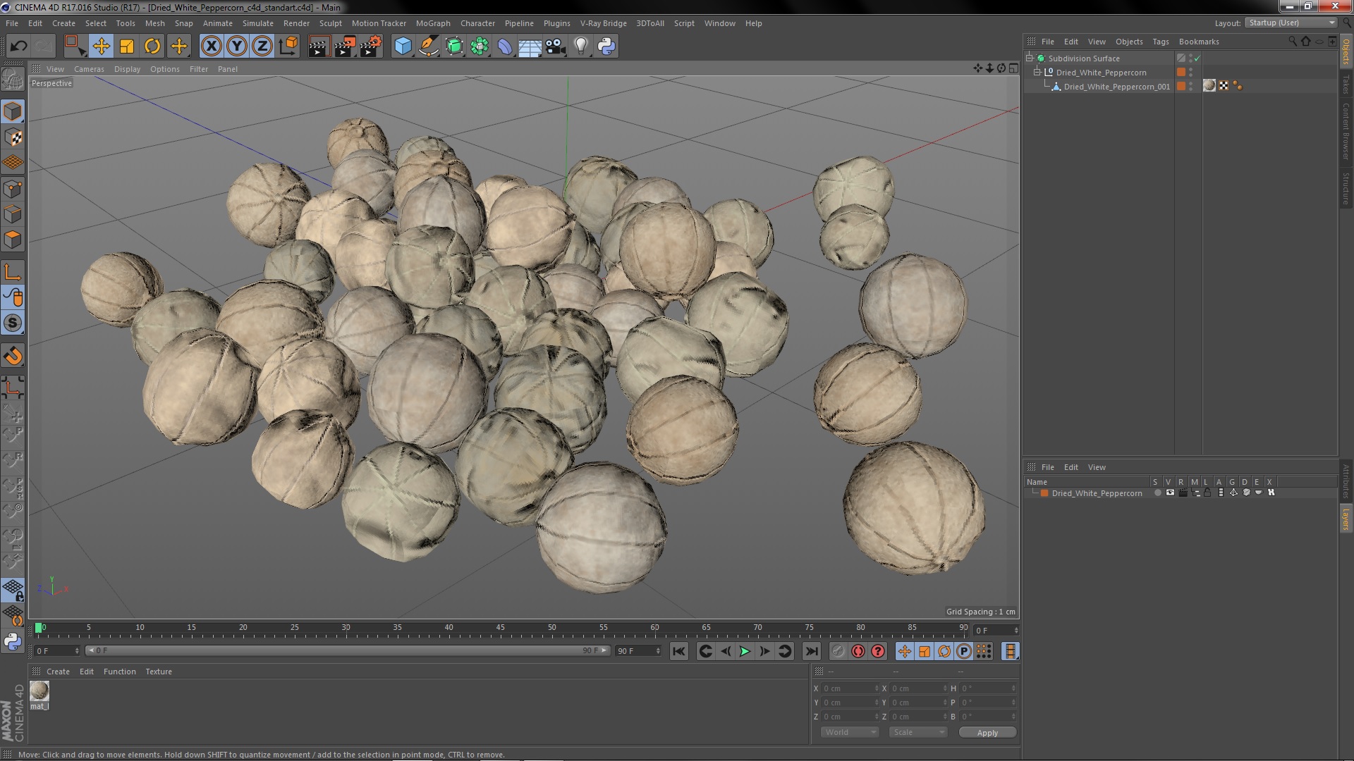 Dried White Peppercorn 3D