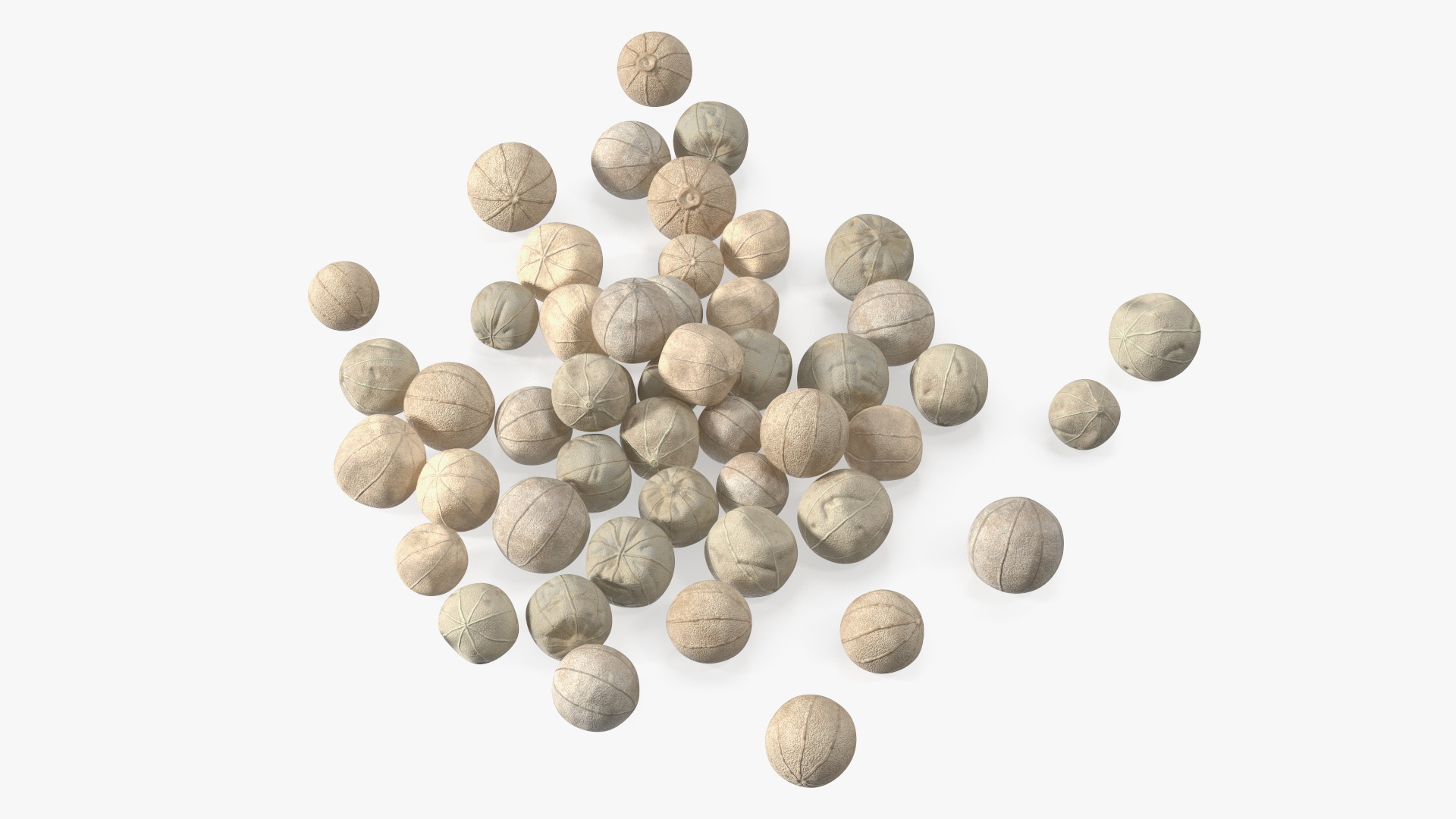 Dried White Peppercorn 3D