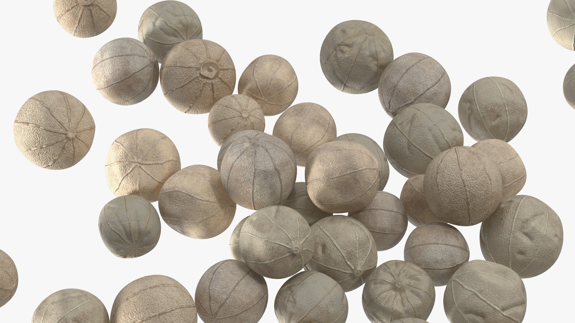 Dried White Peppercorn 3D