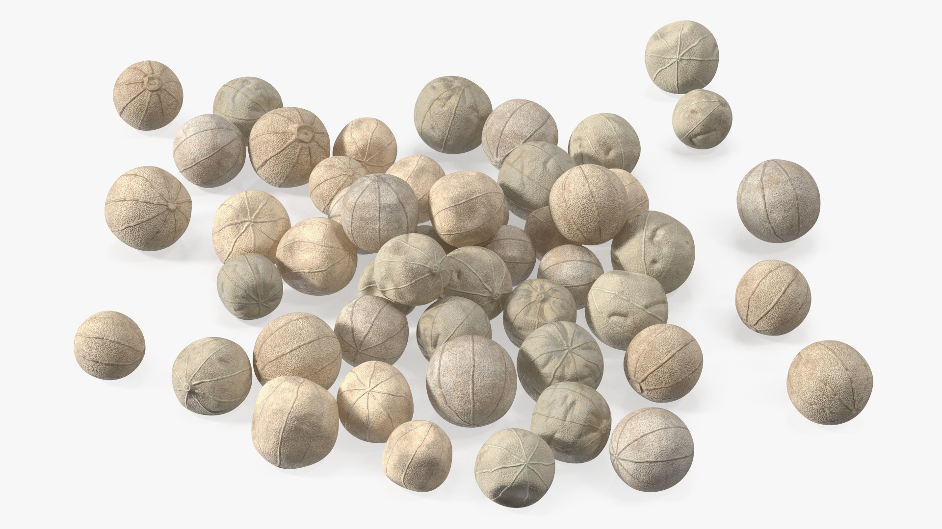 Dried White Peppercorn 3D