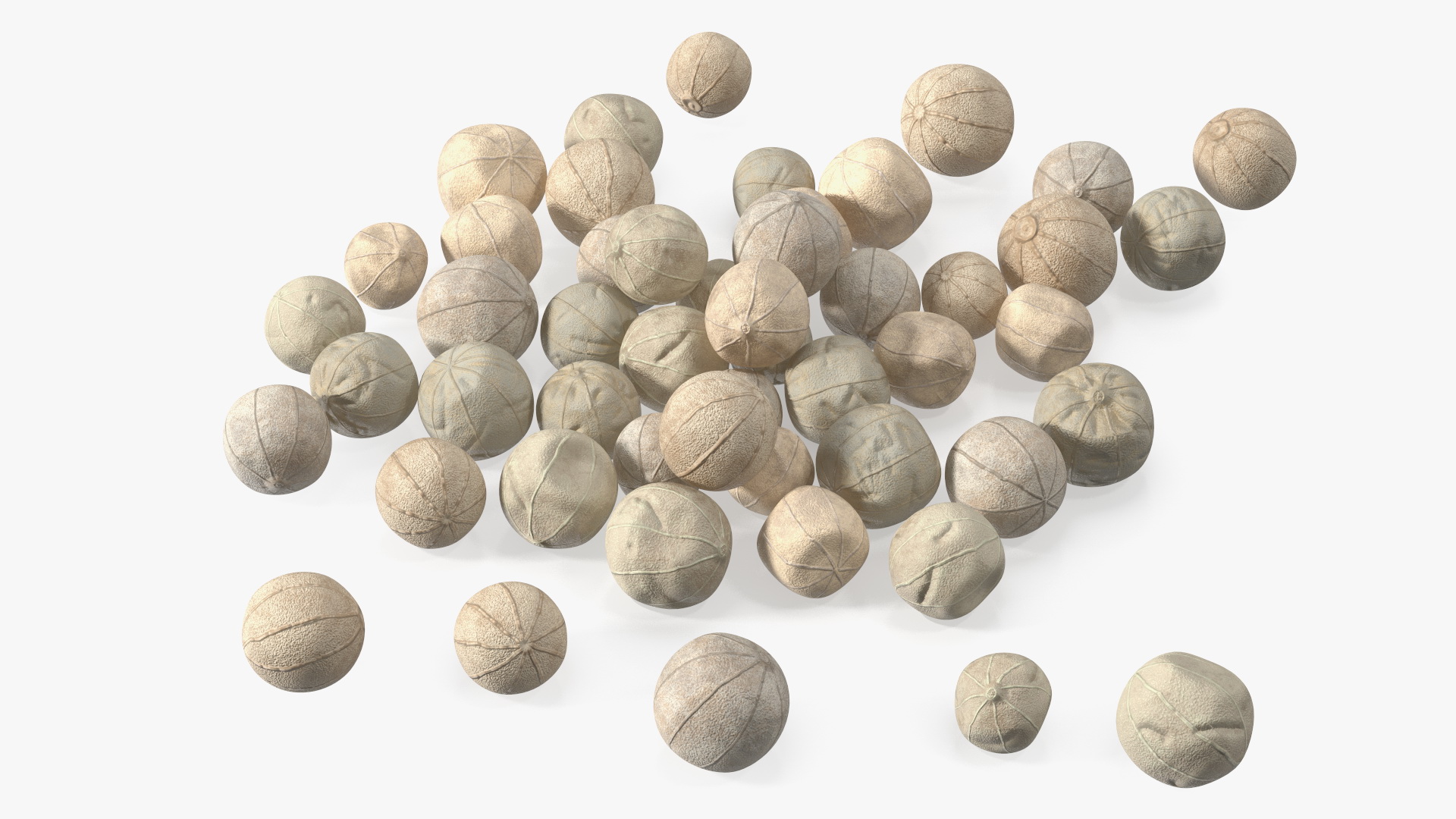 Dried White Peppercorn 3D