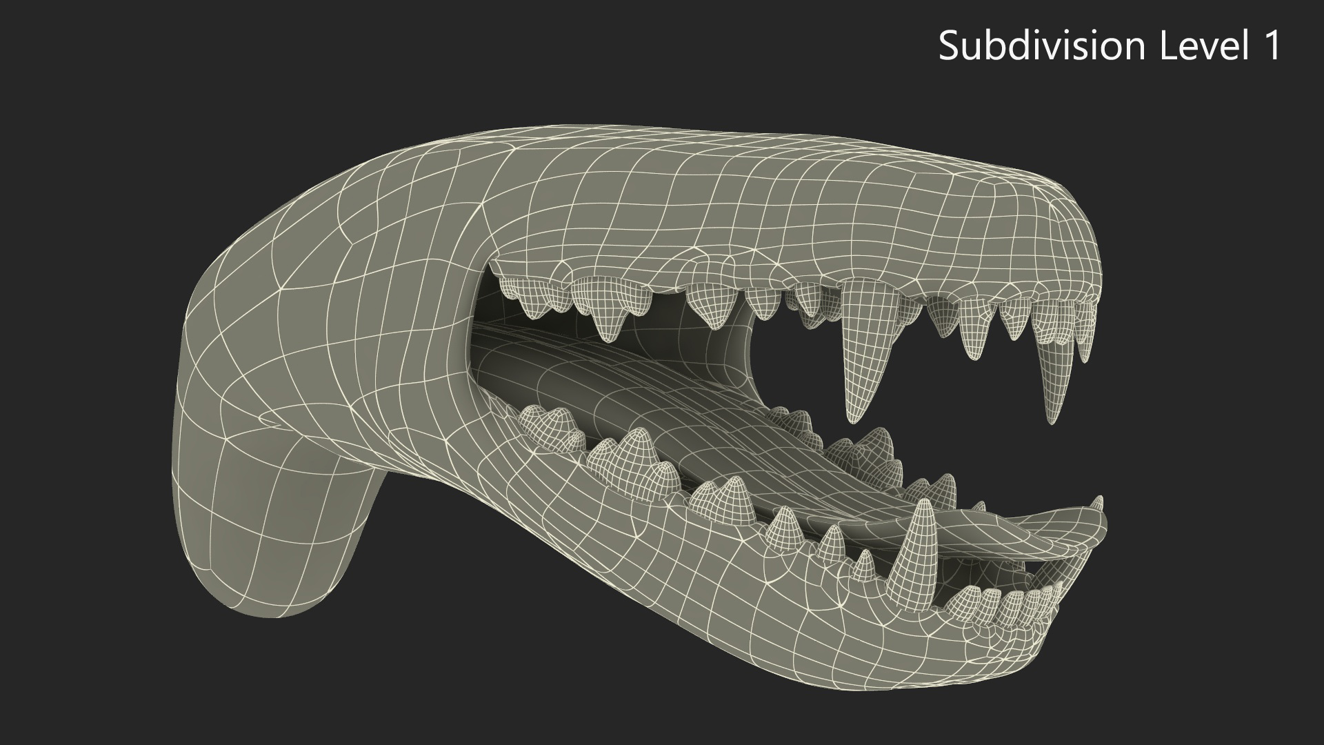 Dog Jaw Anatomic Rigged for Cinema 4D 3D