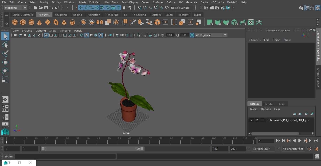 3D Terracotta Pot Orchid