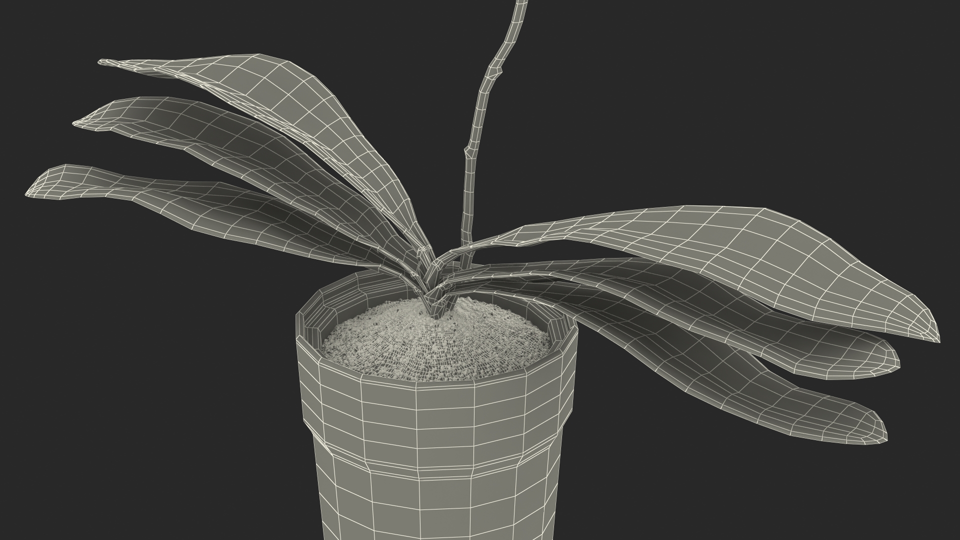 3D Terracotta Pot Orchid