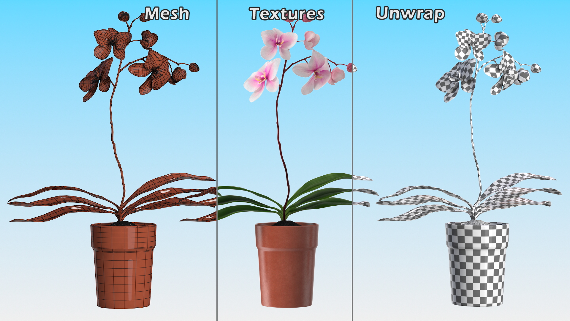 3D Terracotta Pot Orchid