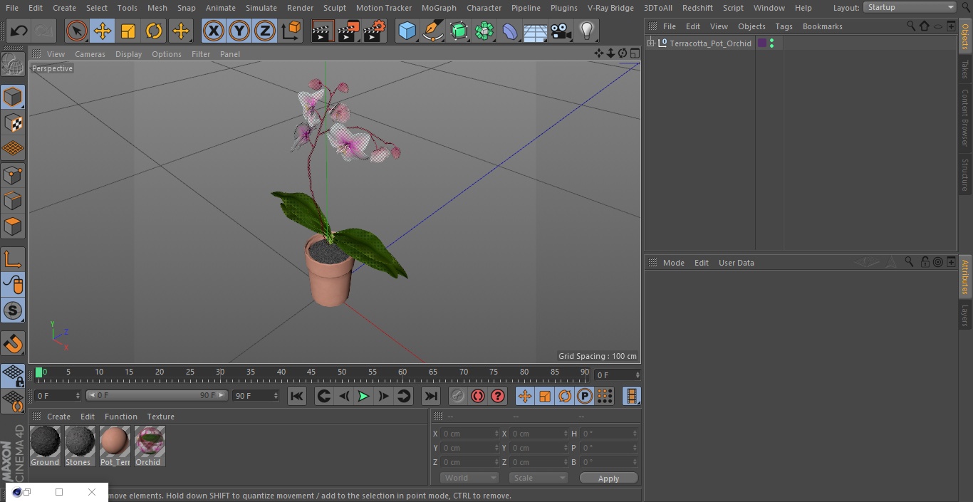 3D Terracotta Pot Orchid