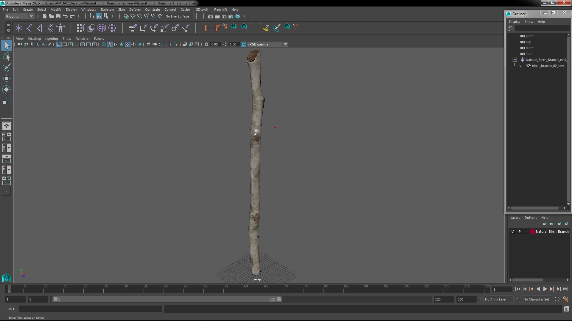 3D model Natural Birch Branch