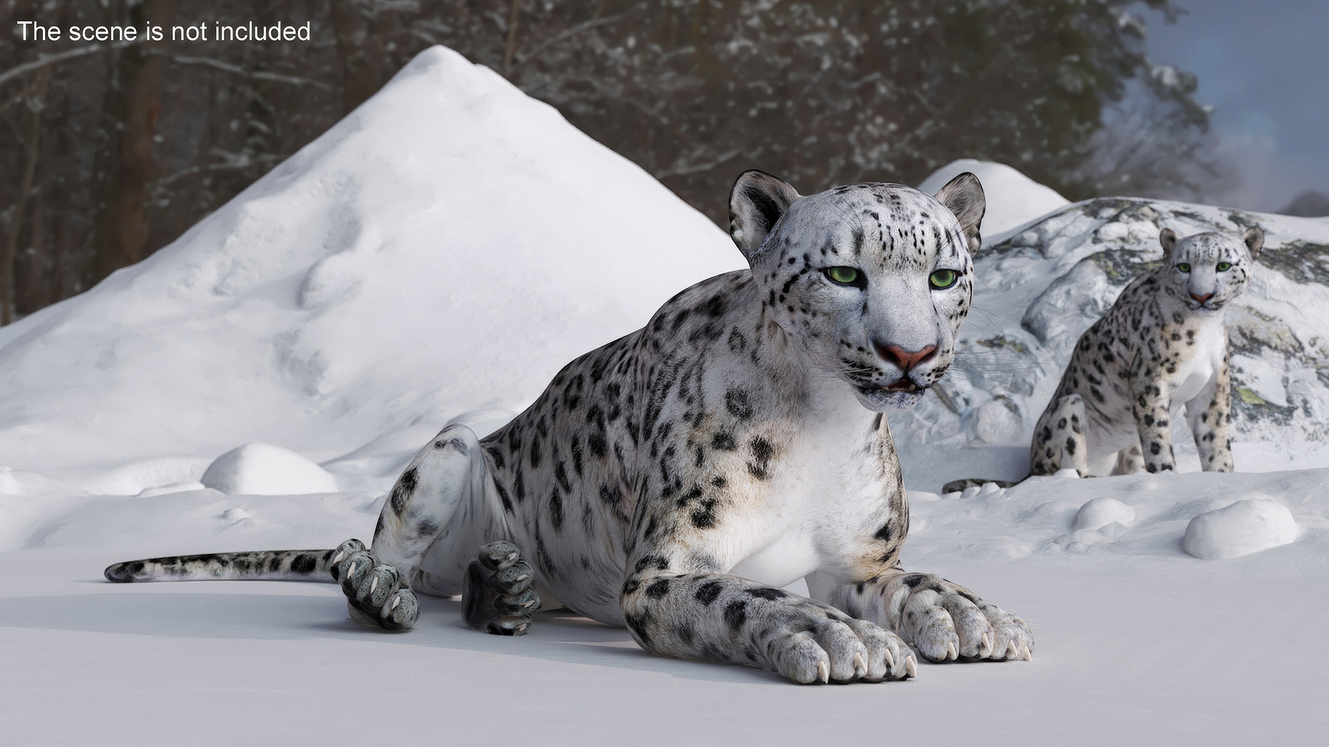 3D Snow Leopard Lying Down model