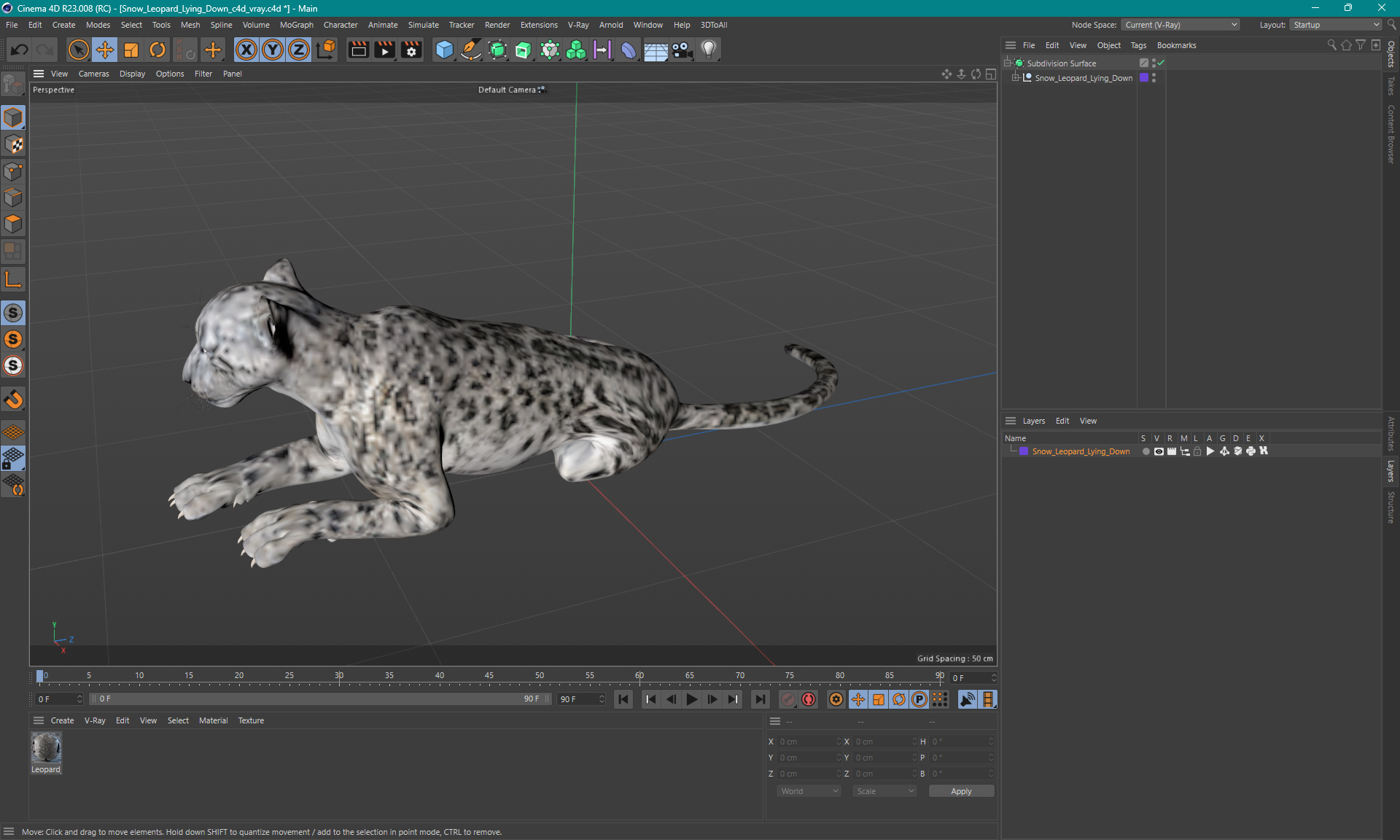 3D Snow Leopard Lying Down model