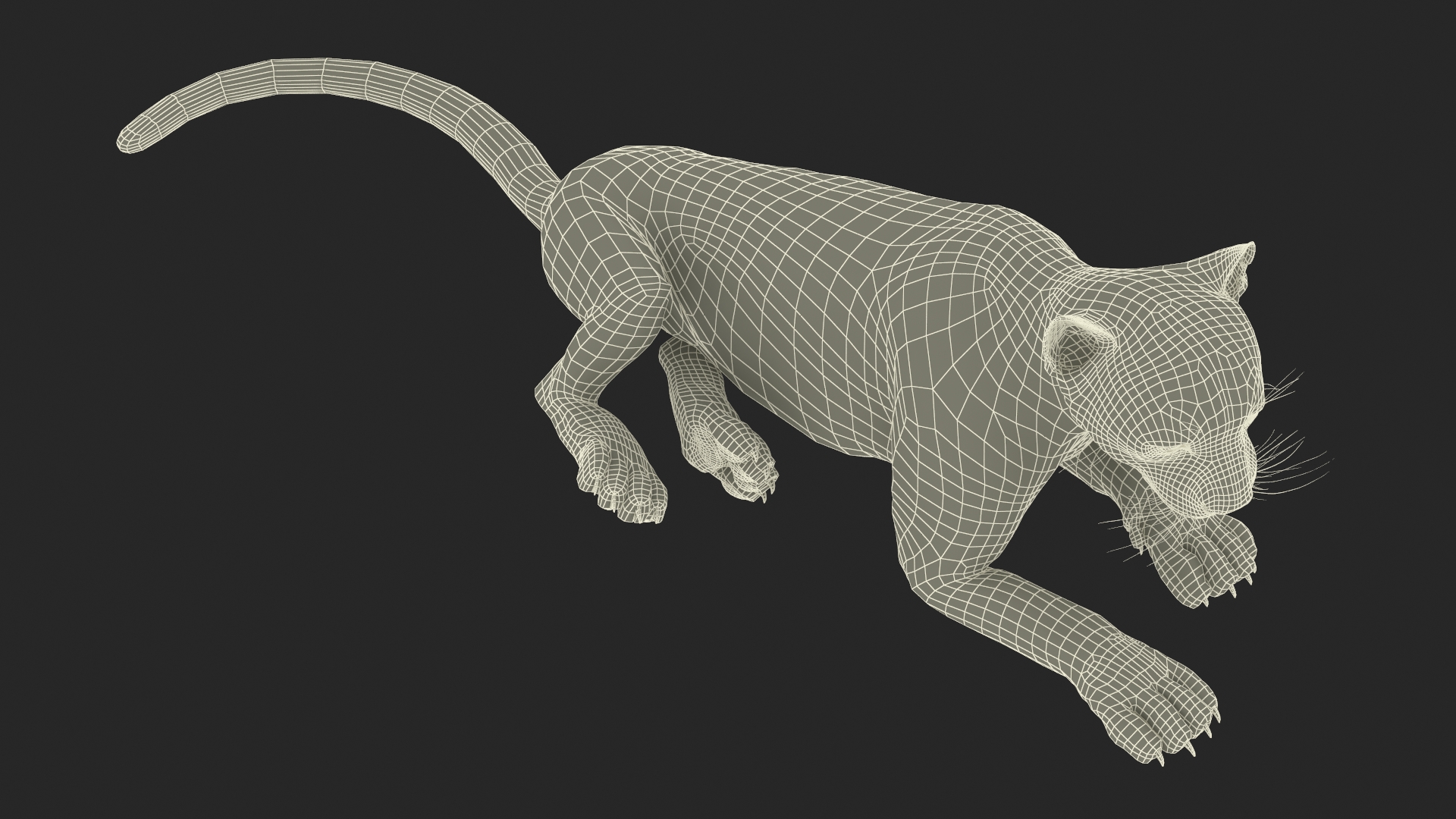 3D Snow Leopard Lying Down model