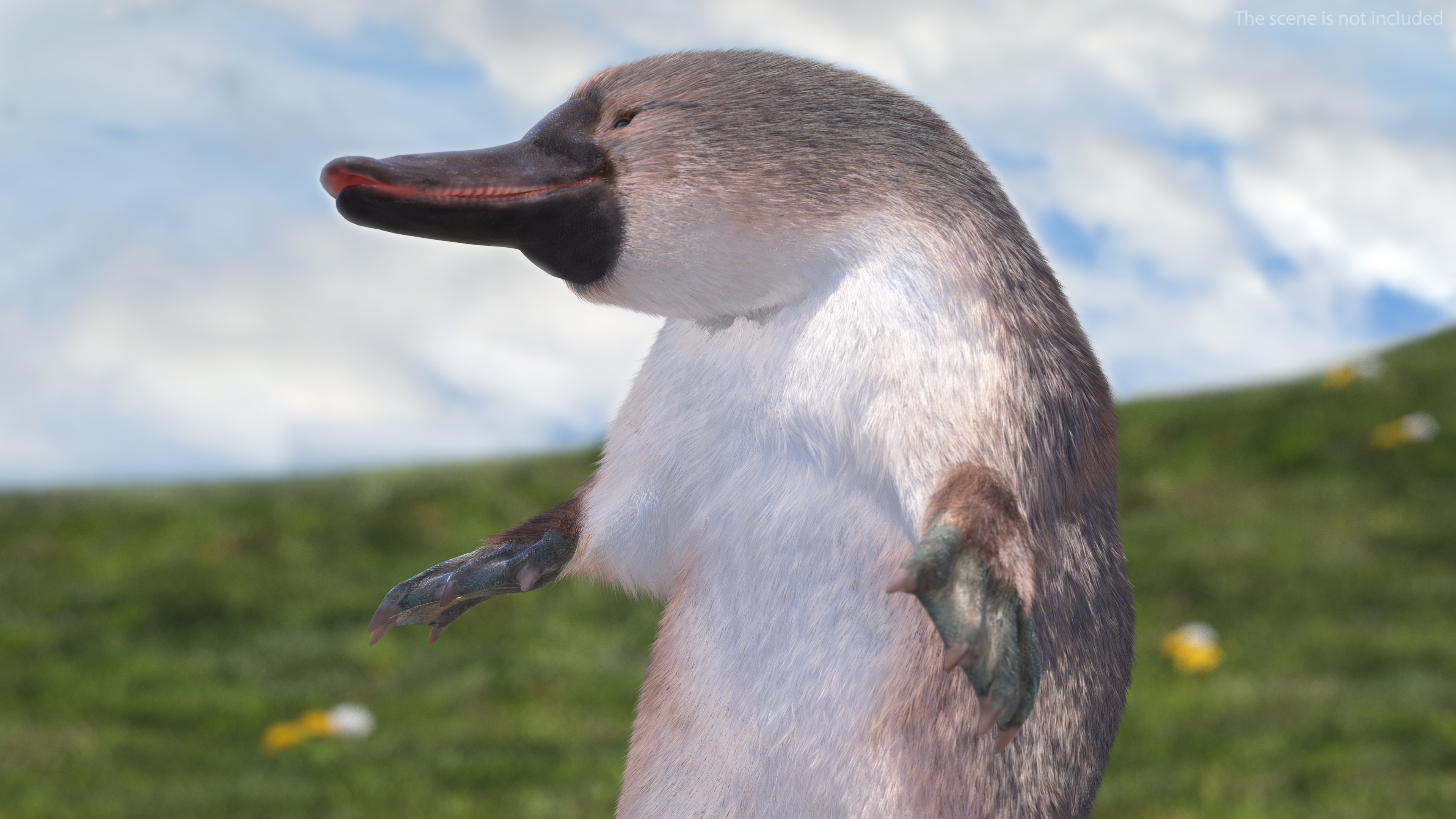 3D Platypus Standing Fur