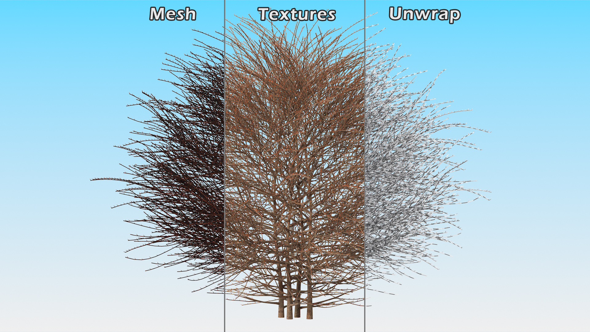 3D model Shrub Bark