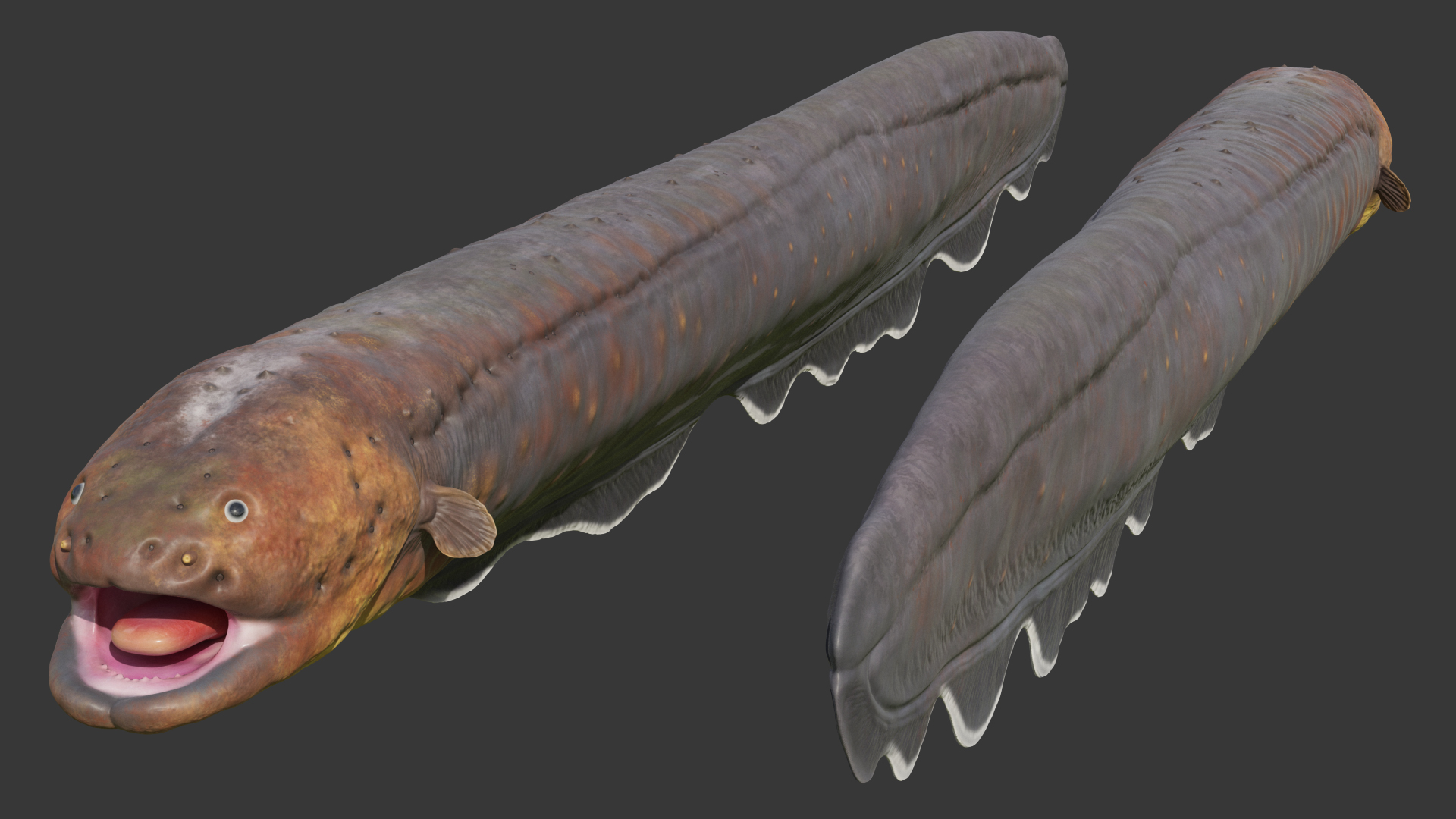 Electric Eel 3D