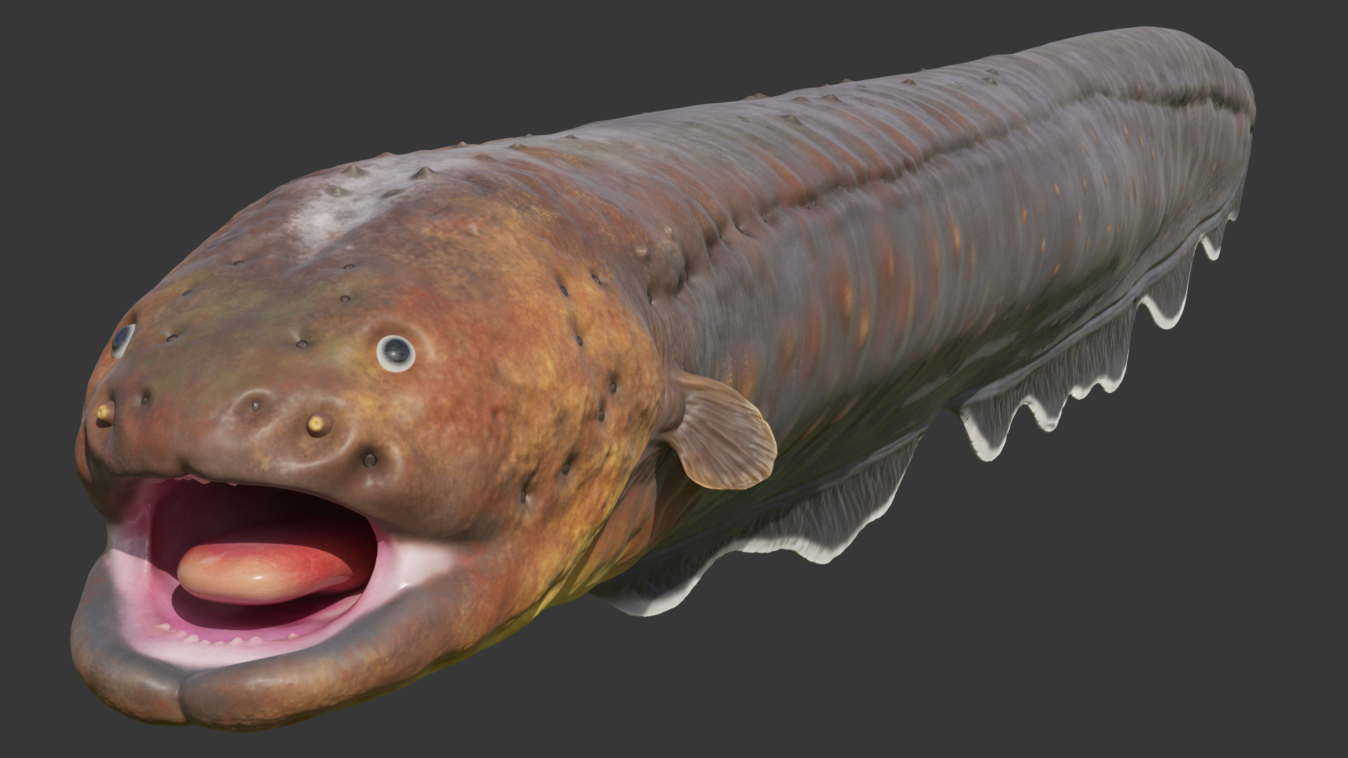 Electric Eel 3D