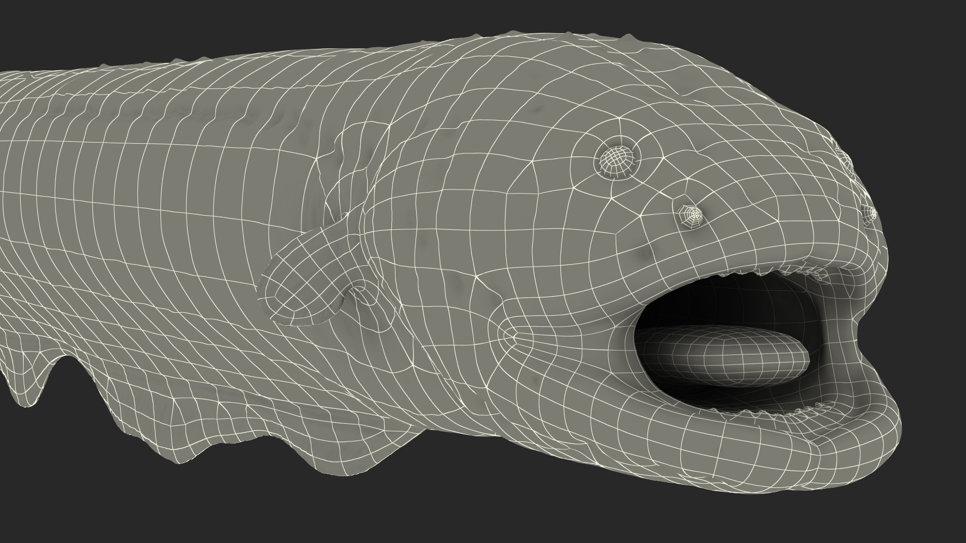 Electric Eel 3D