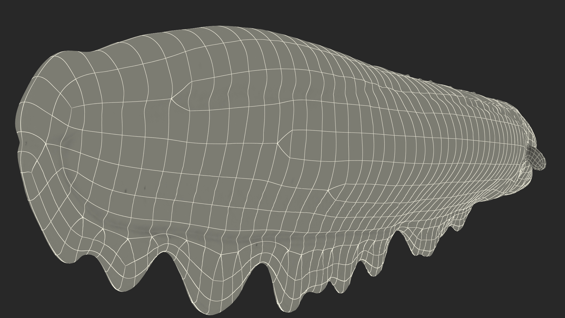 Electric Eel 3D