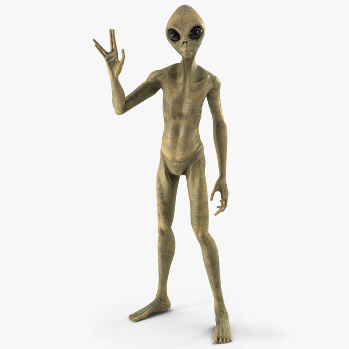 3D model Humanoid Alien Creature Rigged