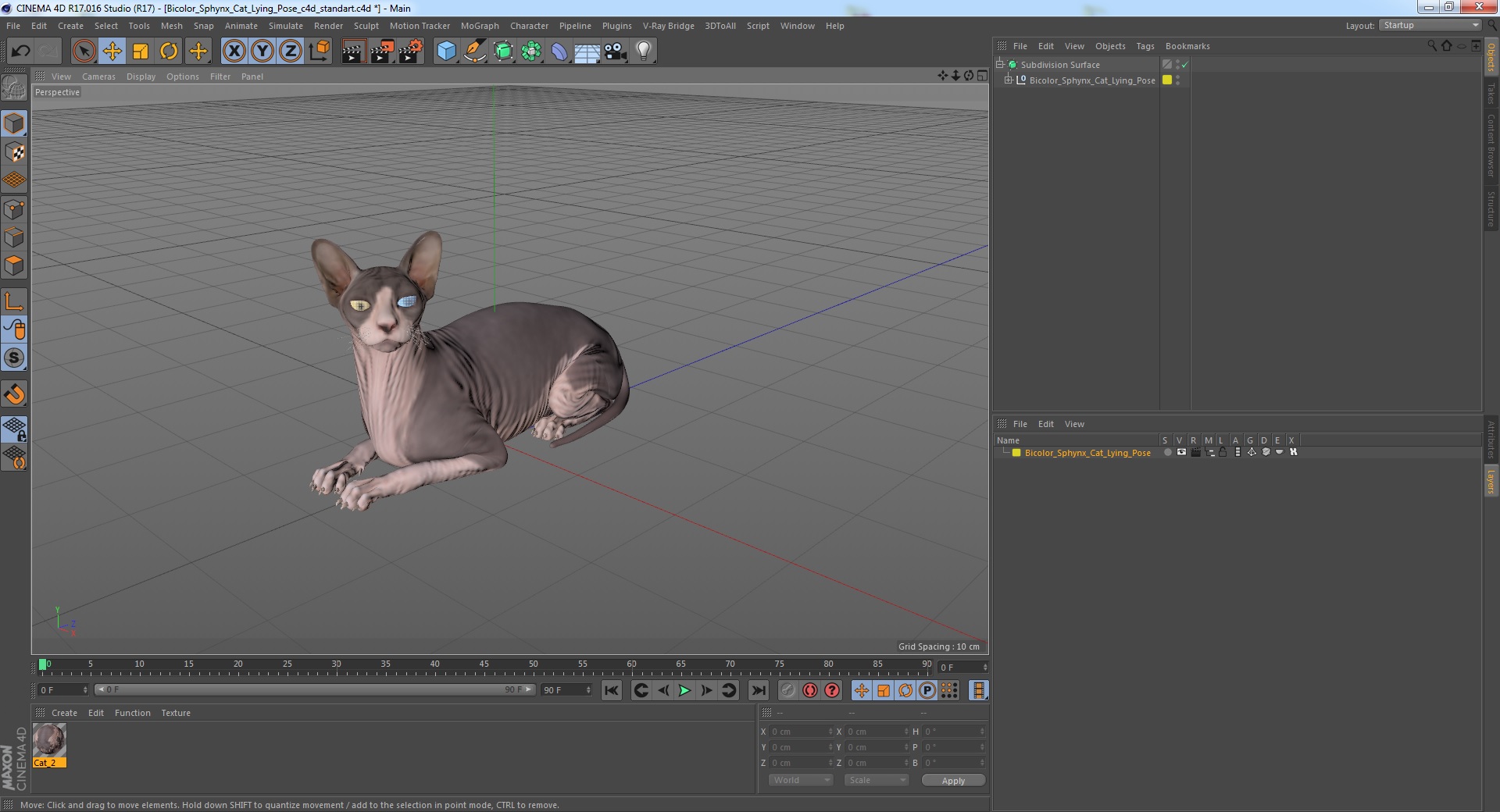 Bicolor Sphynx Cat Lying Pose 3D model