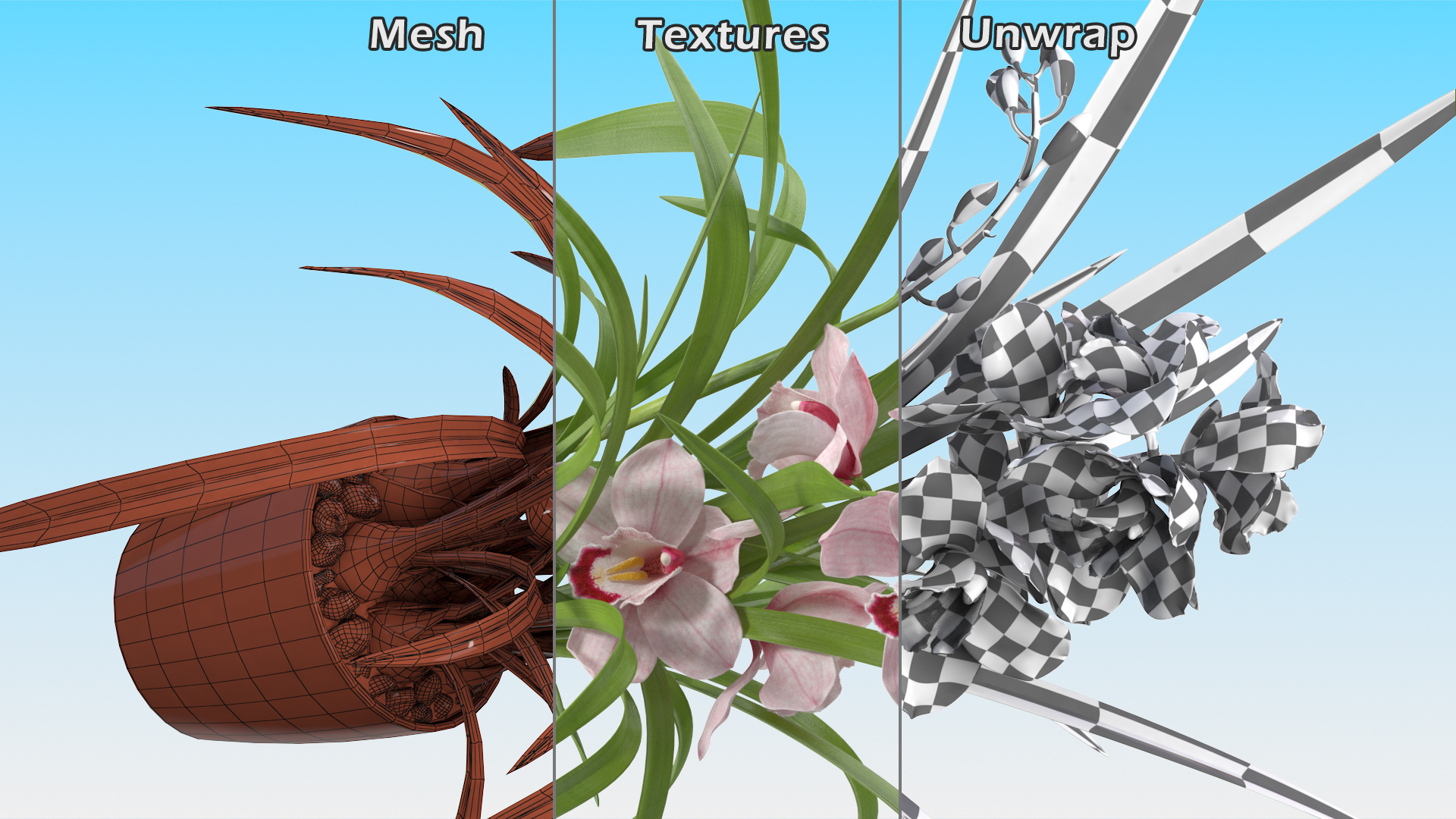 3D Orchid Pot Flower Pink Fur