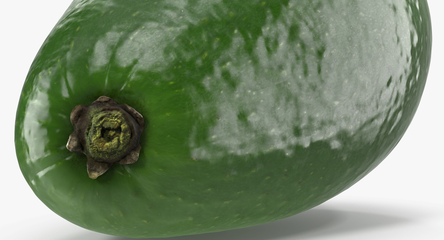 3D Whole Avocado model