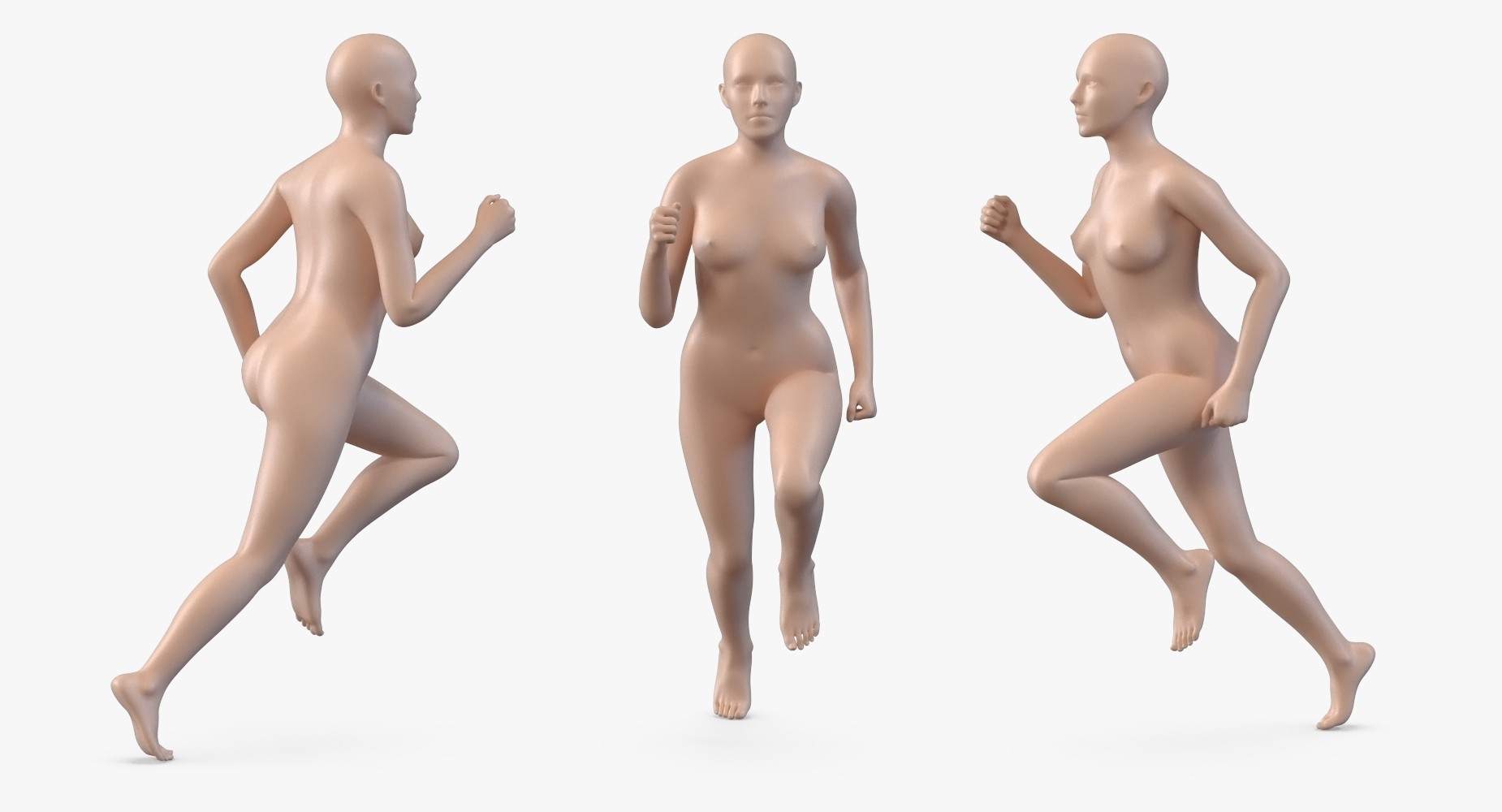 Female Body with Skeleton Rigged 3D