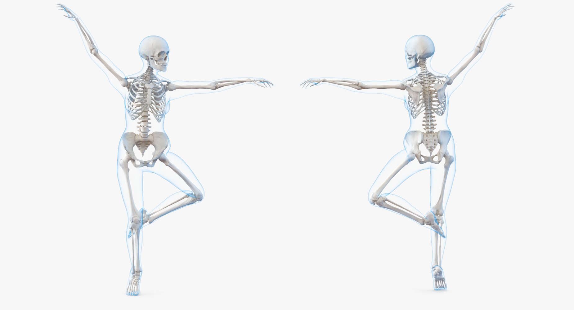 Female Body with Skeleton Rigged 3D