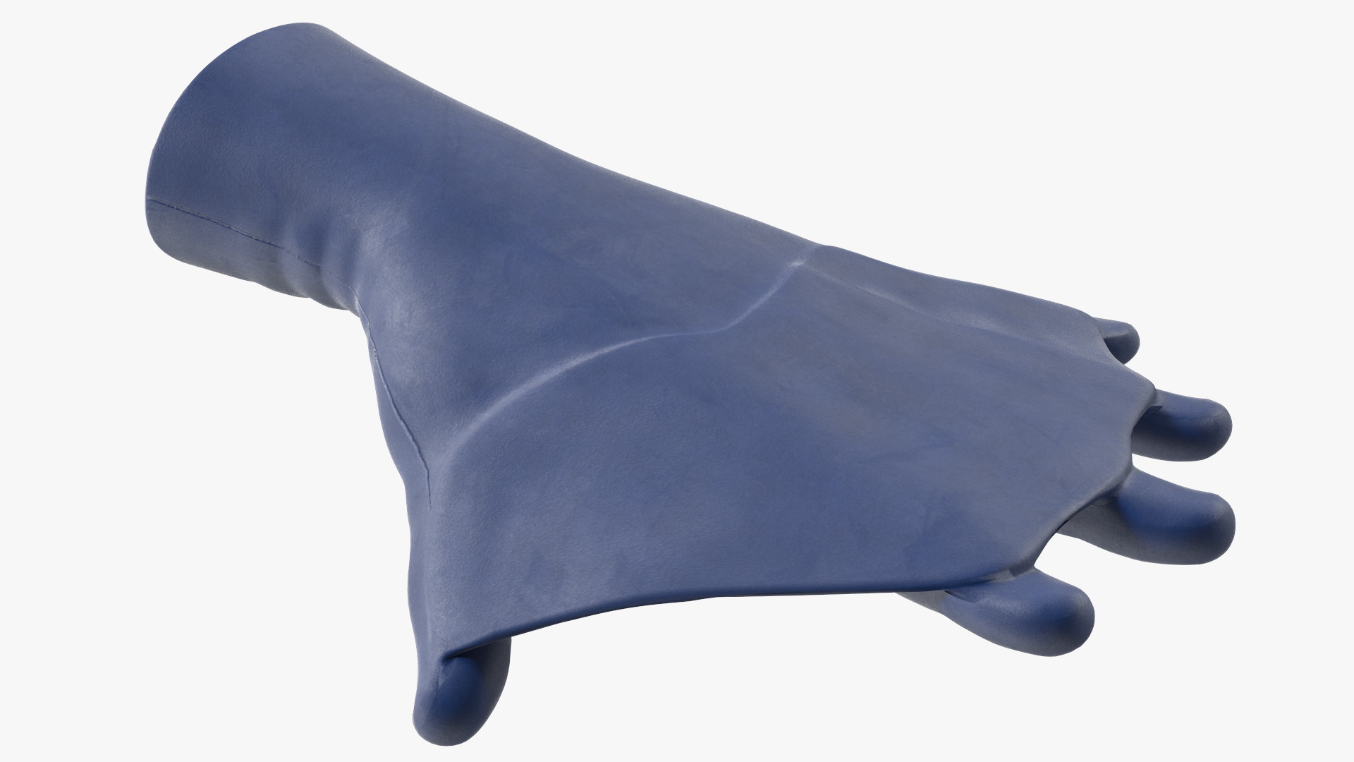 Swimming Gloves Dry 3D model