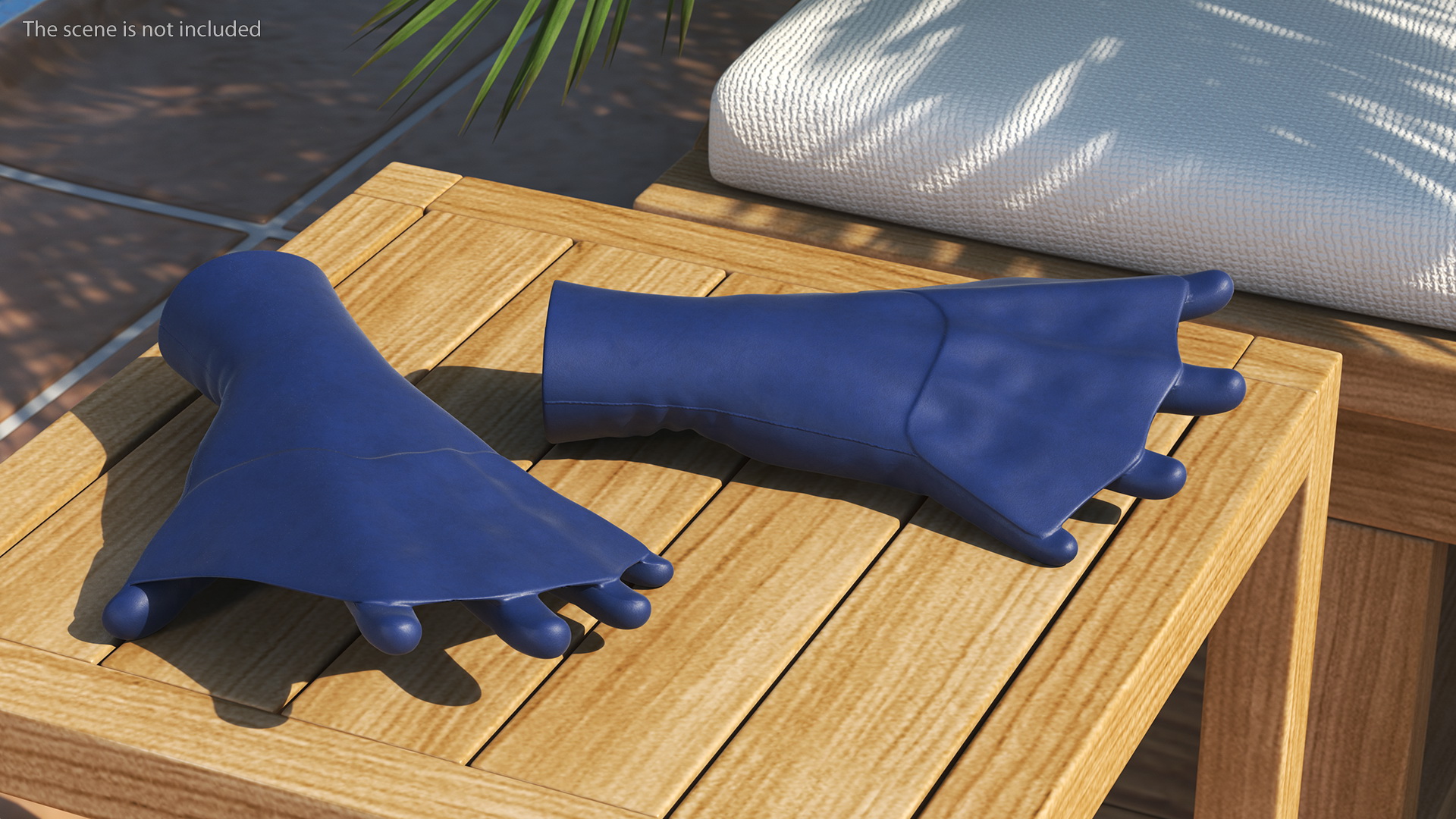 Swimming Gloves Dry 3D model