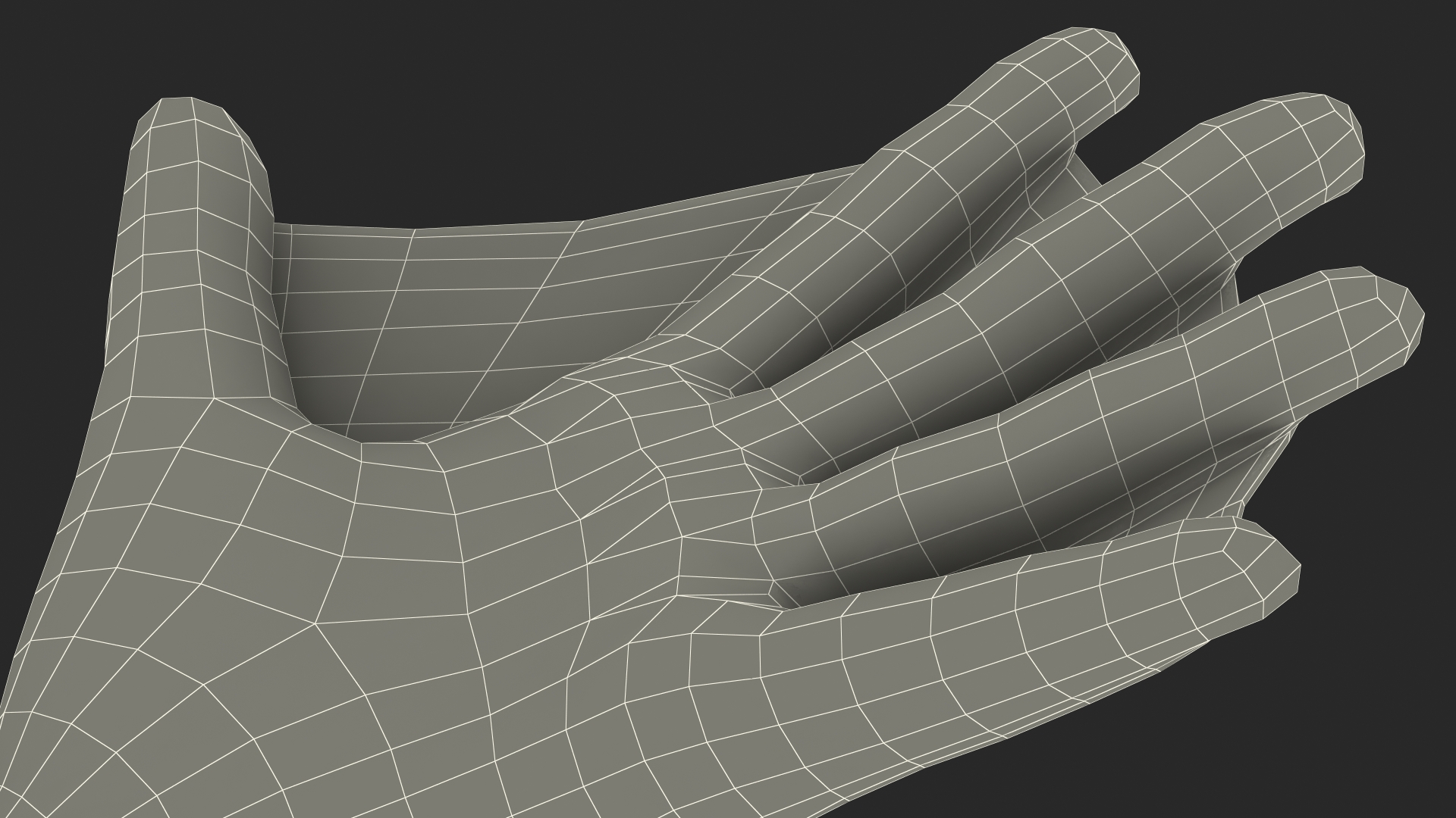 Swimming Gloves Dry 3D model