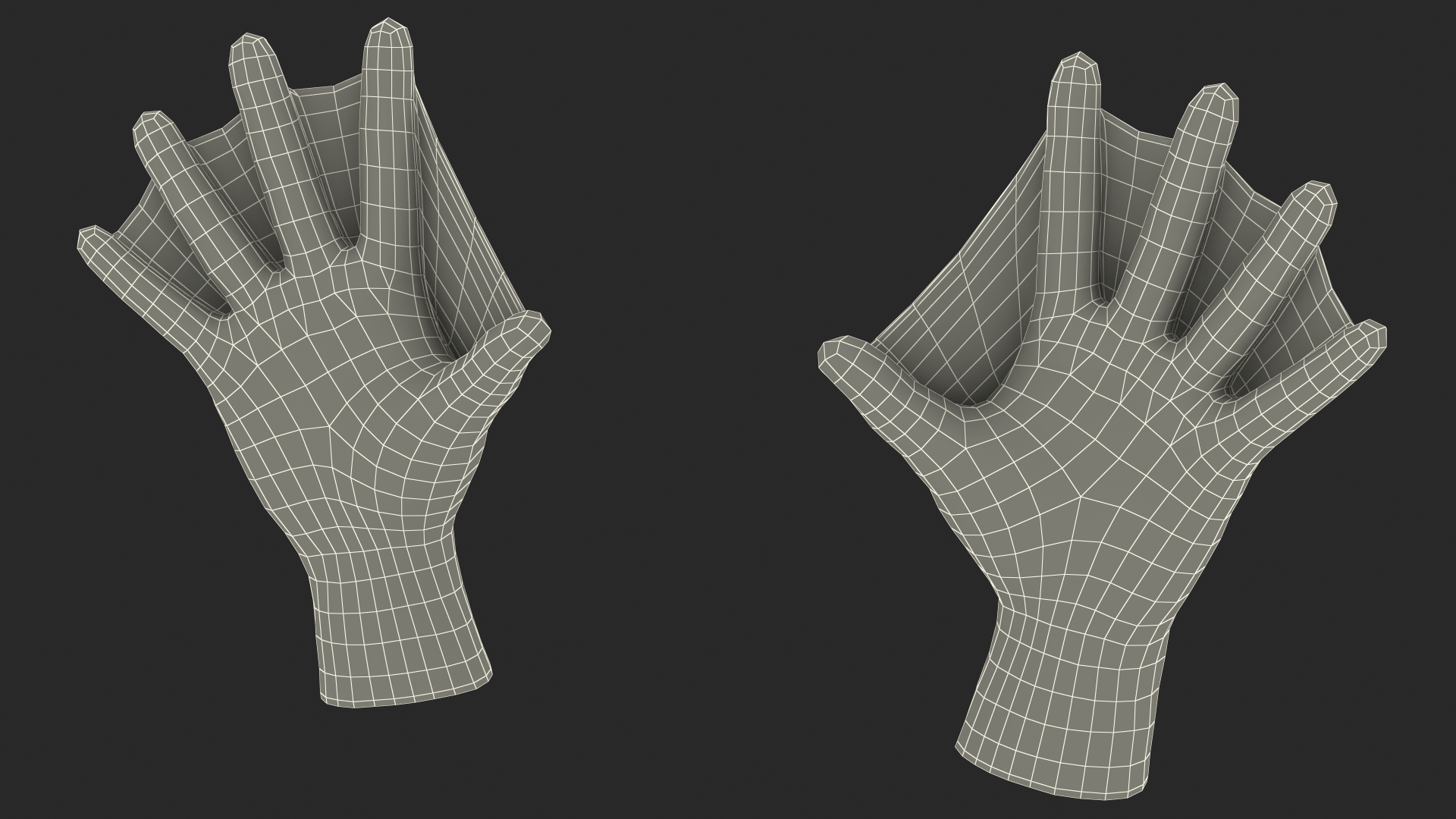 Swimming Gloves Dry 3D model