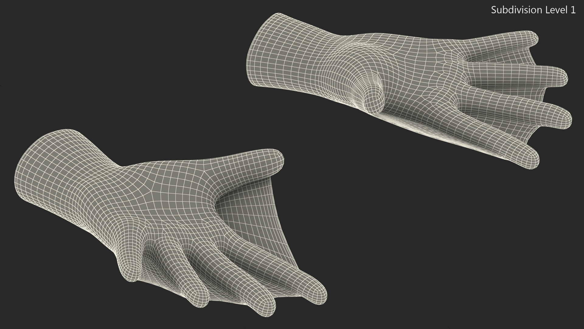 Swimming Gloves Dry 3D model