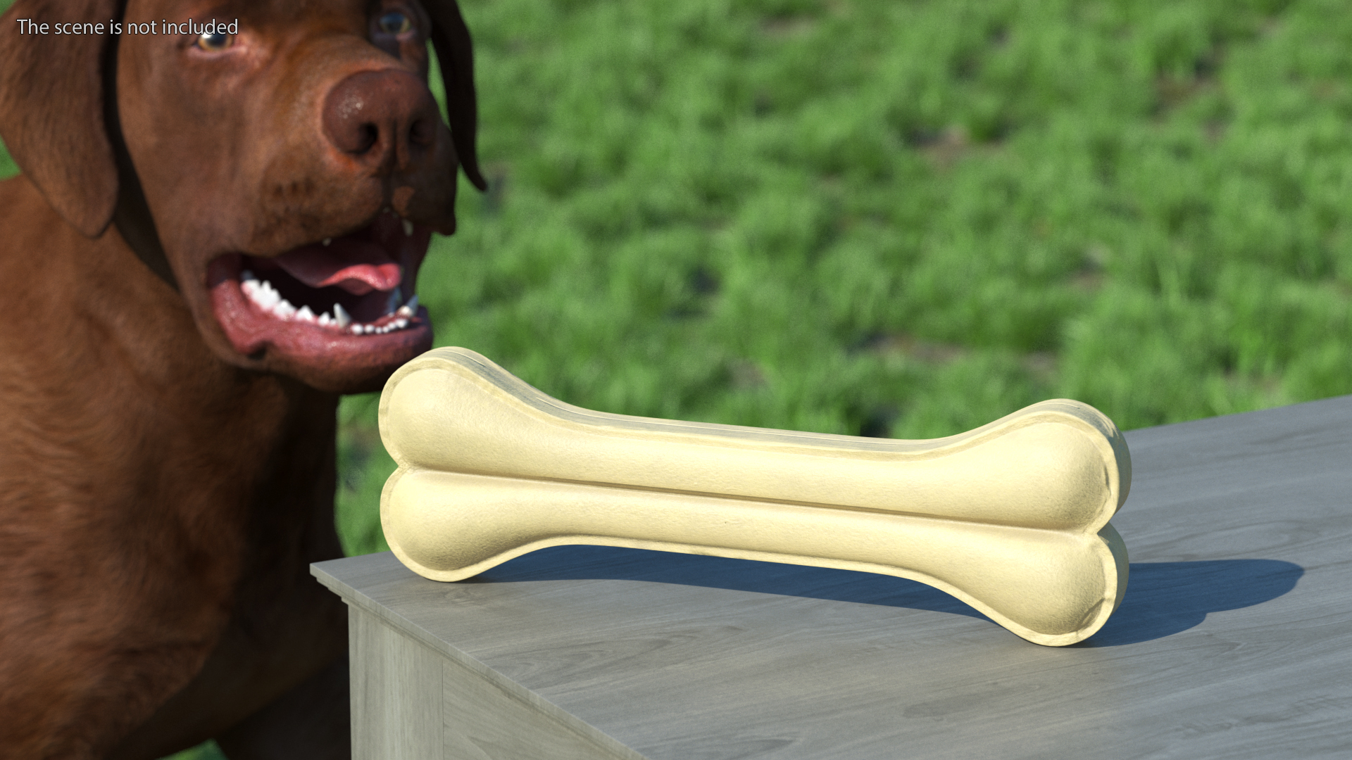 3D model Large Dog Chew Bone Light