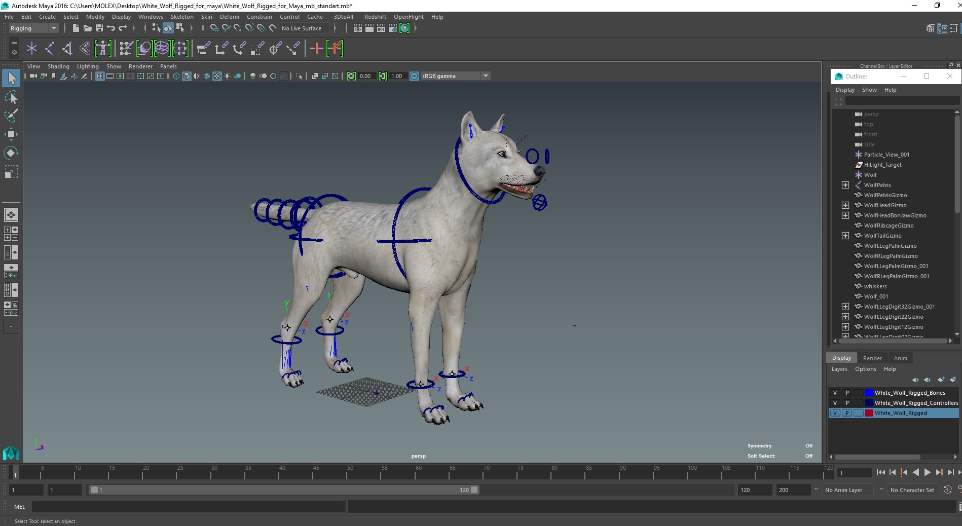 3D White Wolf Rigged for Maya