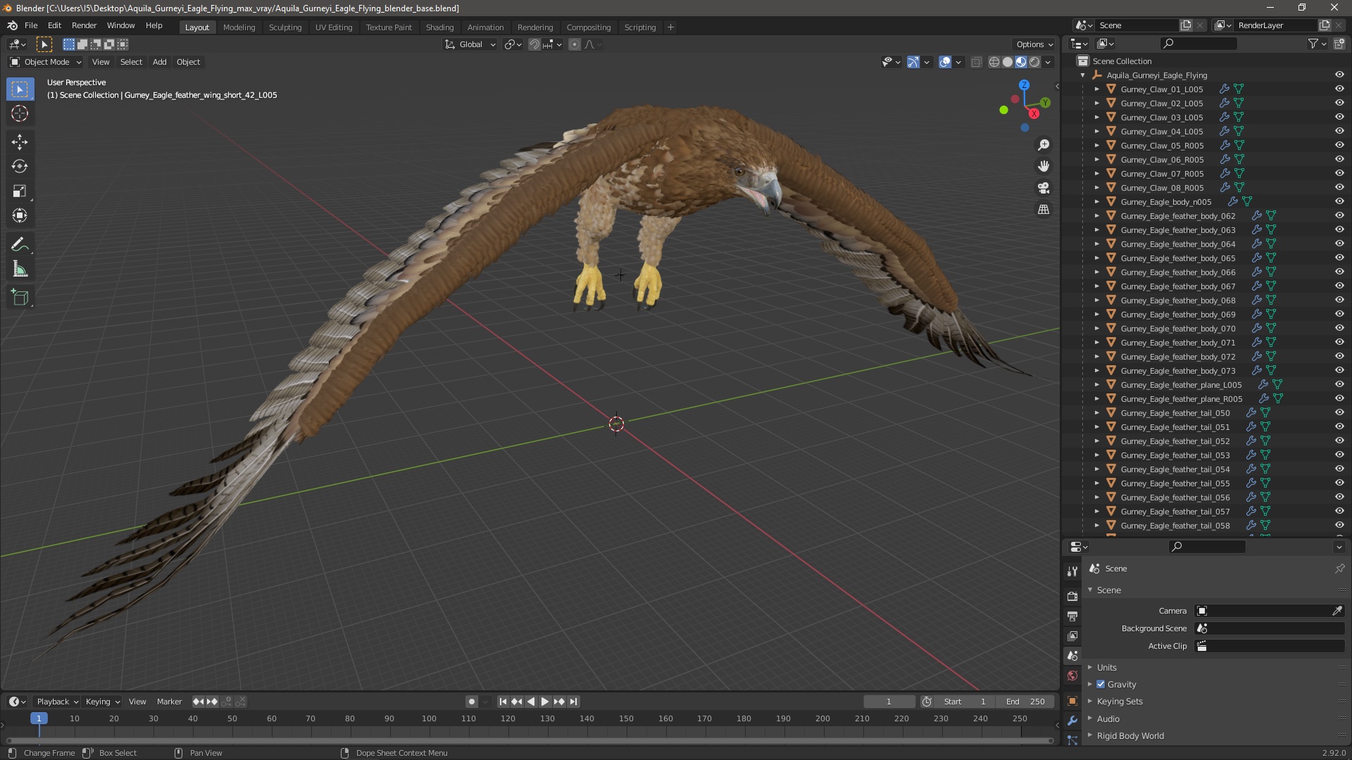 Aquila Gurneyi Eagle Flying 3D