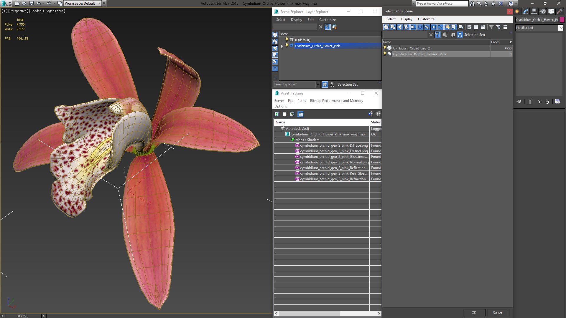 3D Cymbidium Orchid Flower Pink model