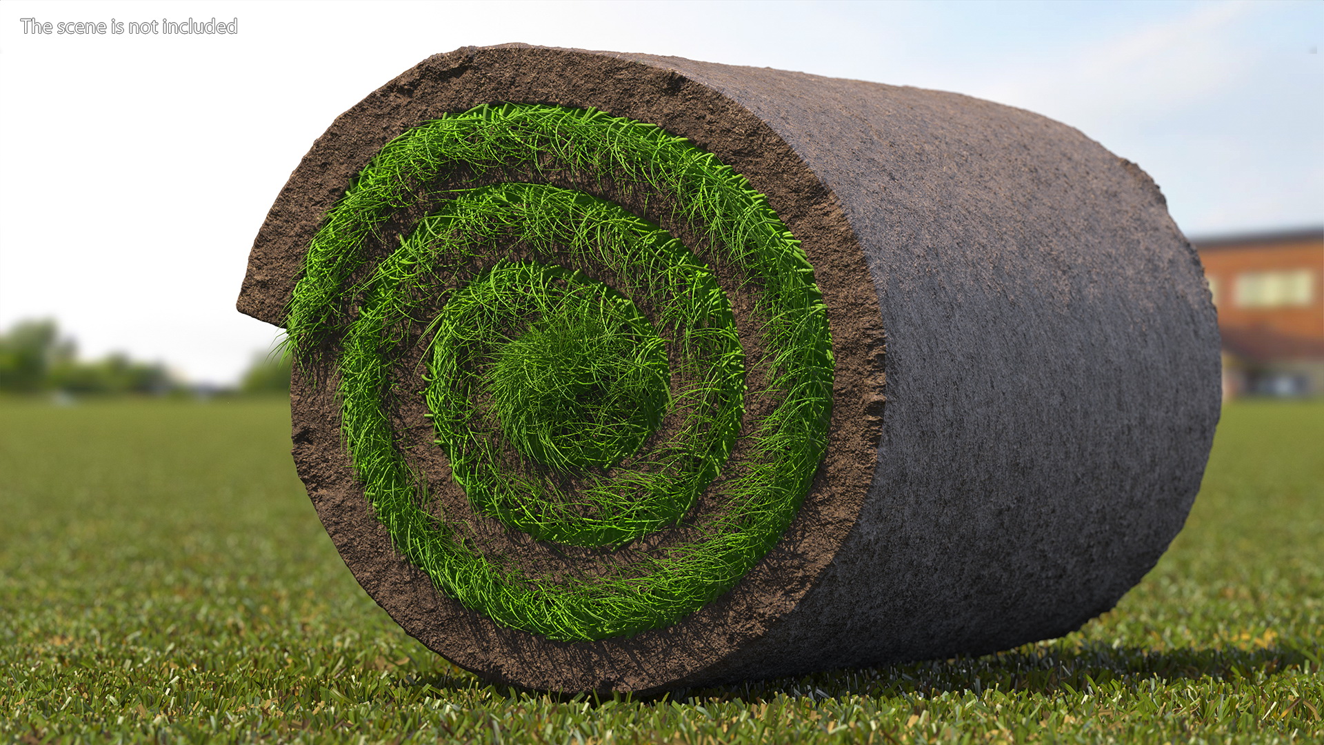 3D model Lawn Turf Roll Folded fur