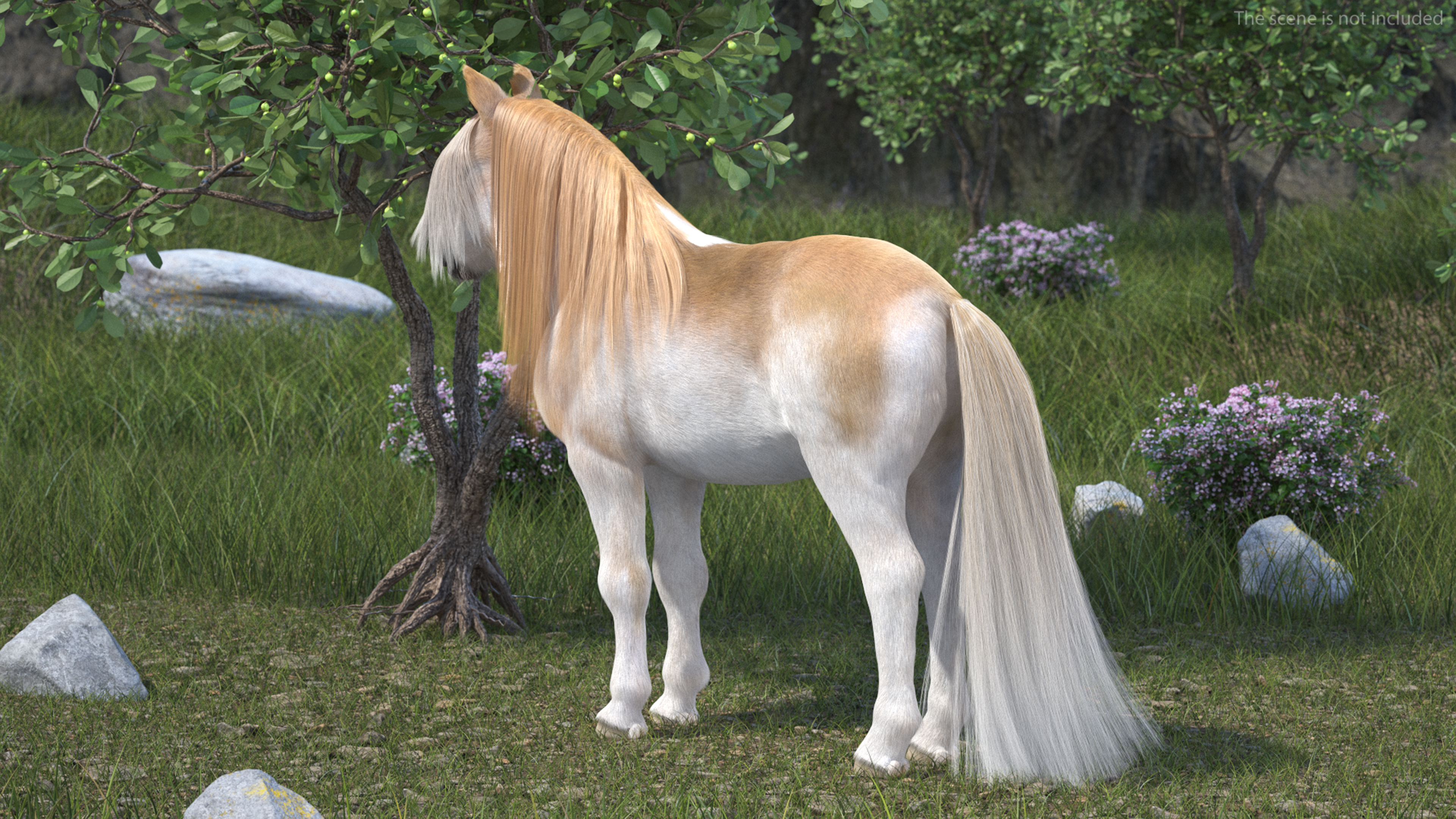 Shetland Pony with Long Mane Fur 3D