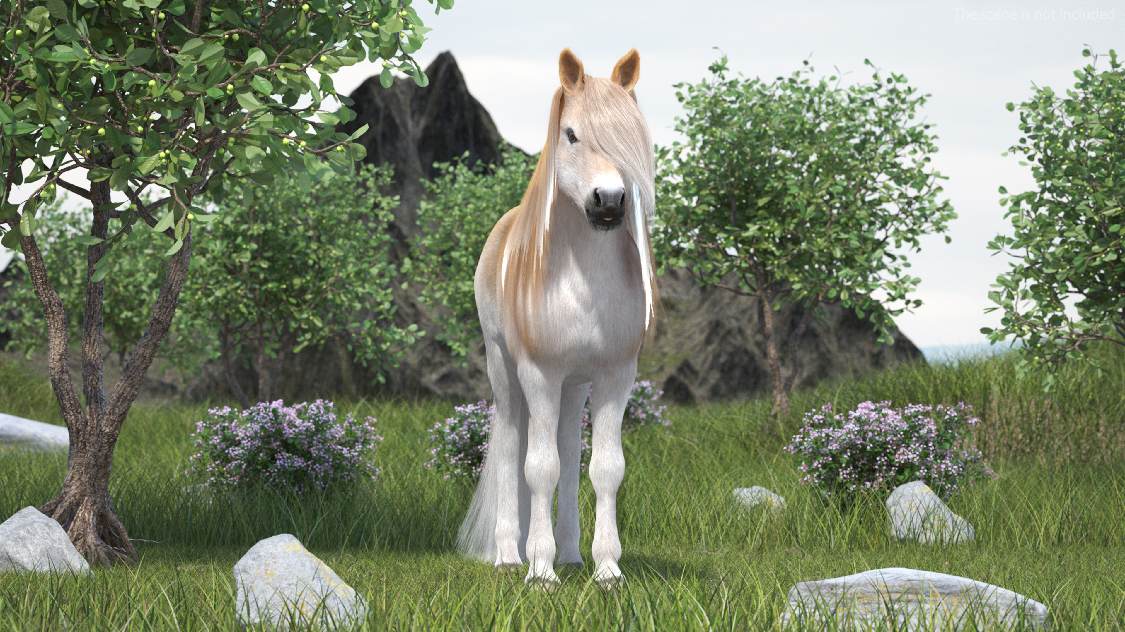 Shetland Pony with Long Mane Fur 3D